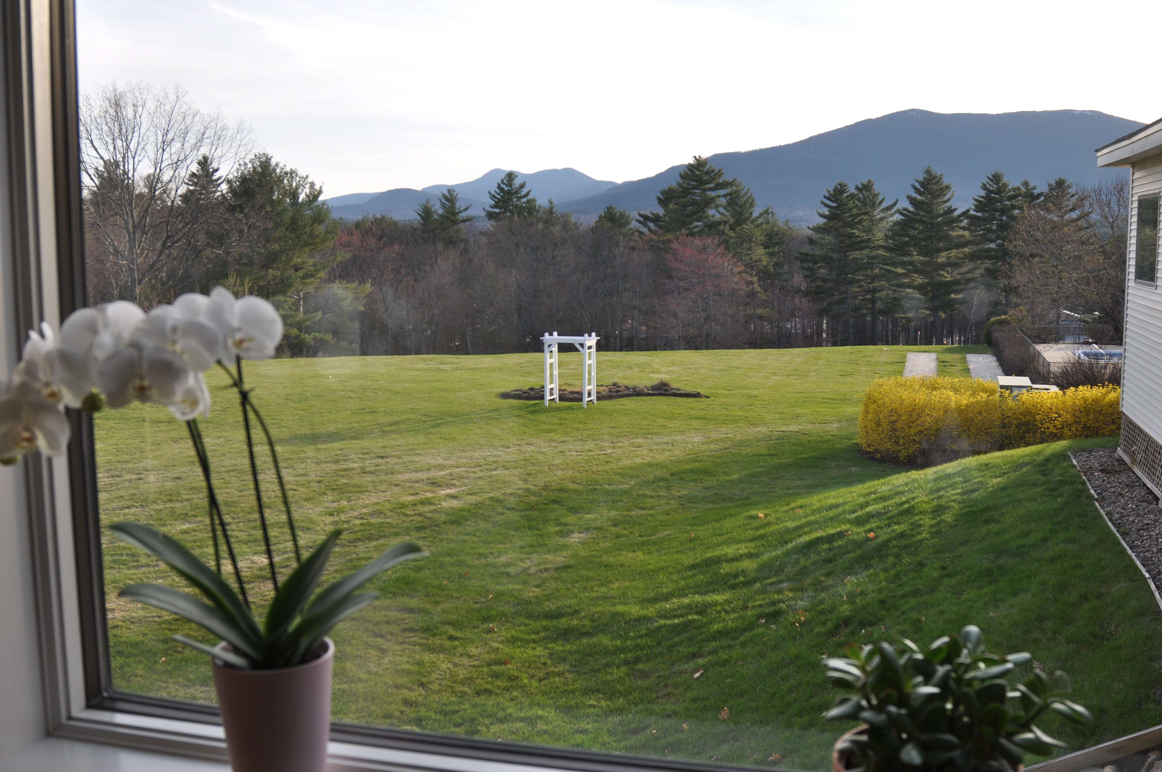 Fox Ridge Resort