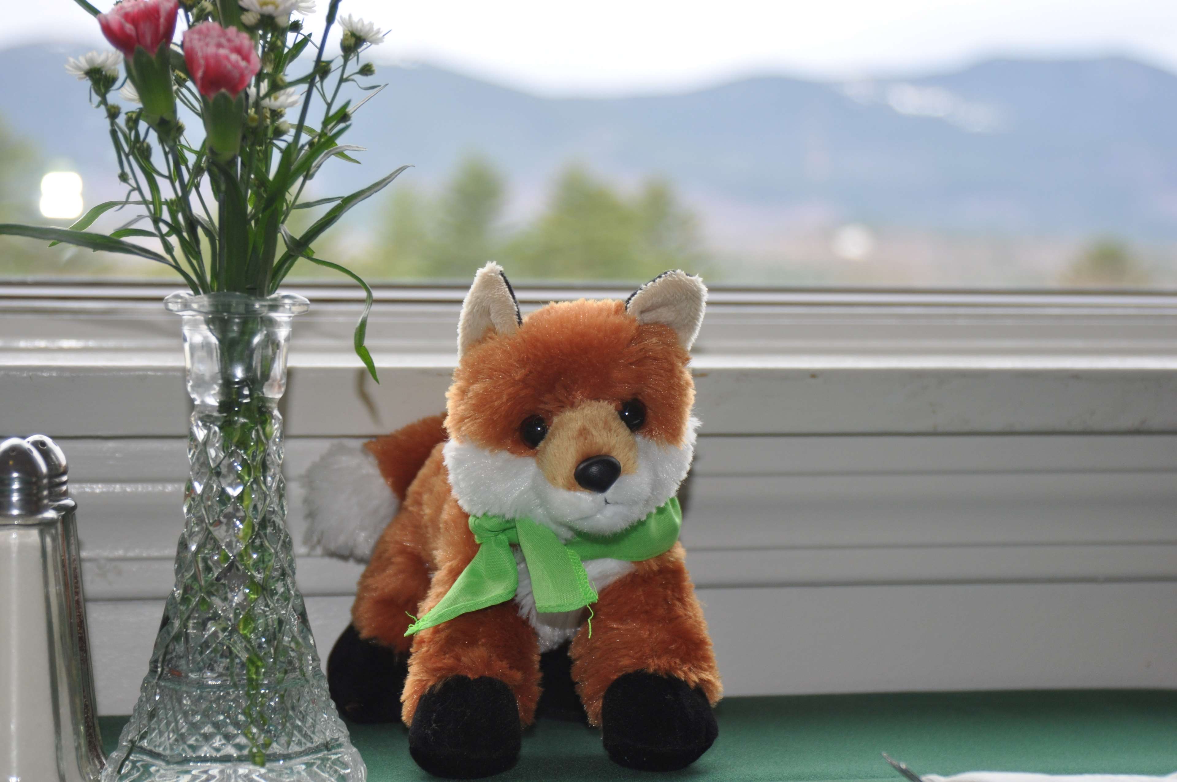 Fox Ridge Resort