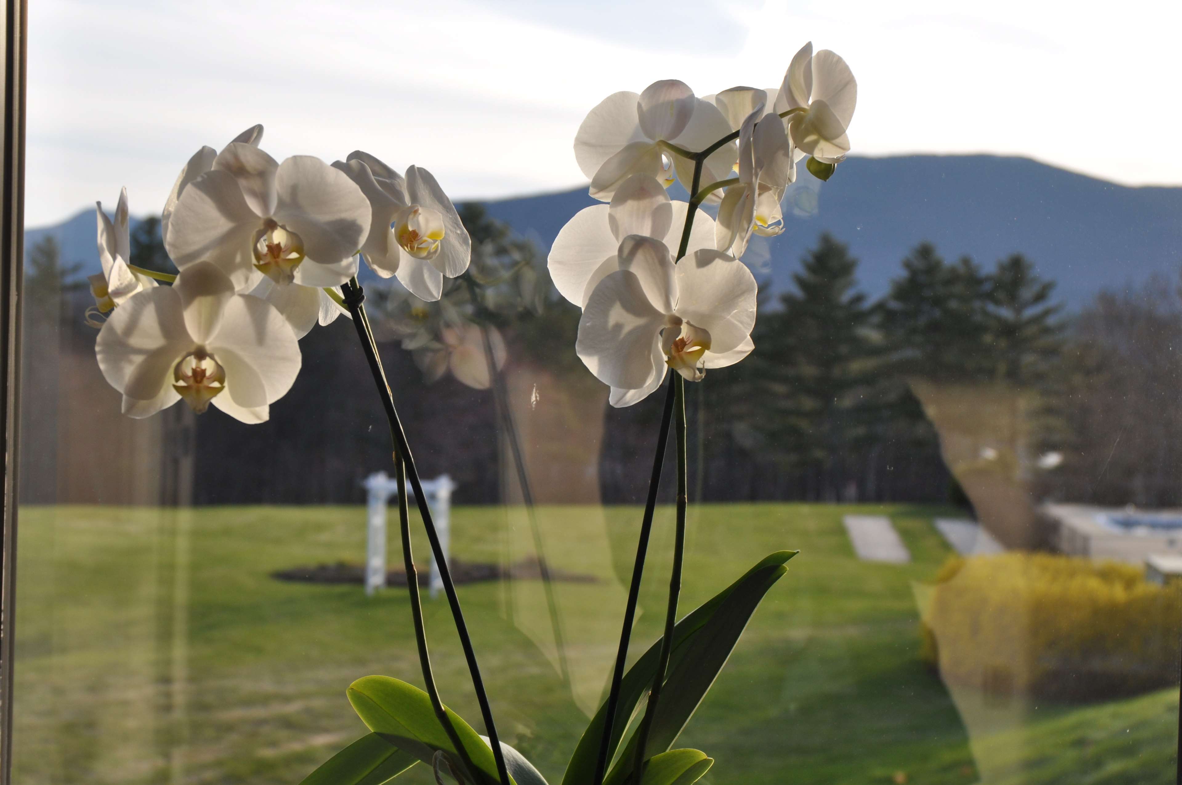Fox Ridge Resort