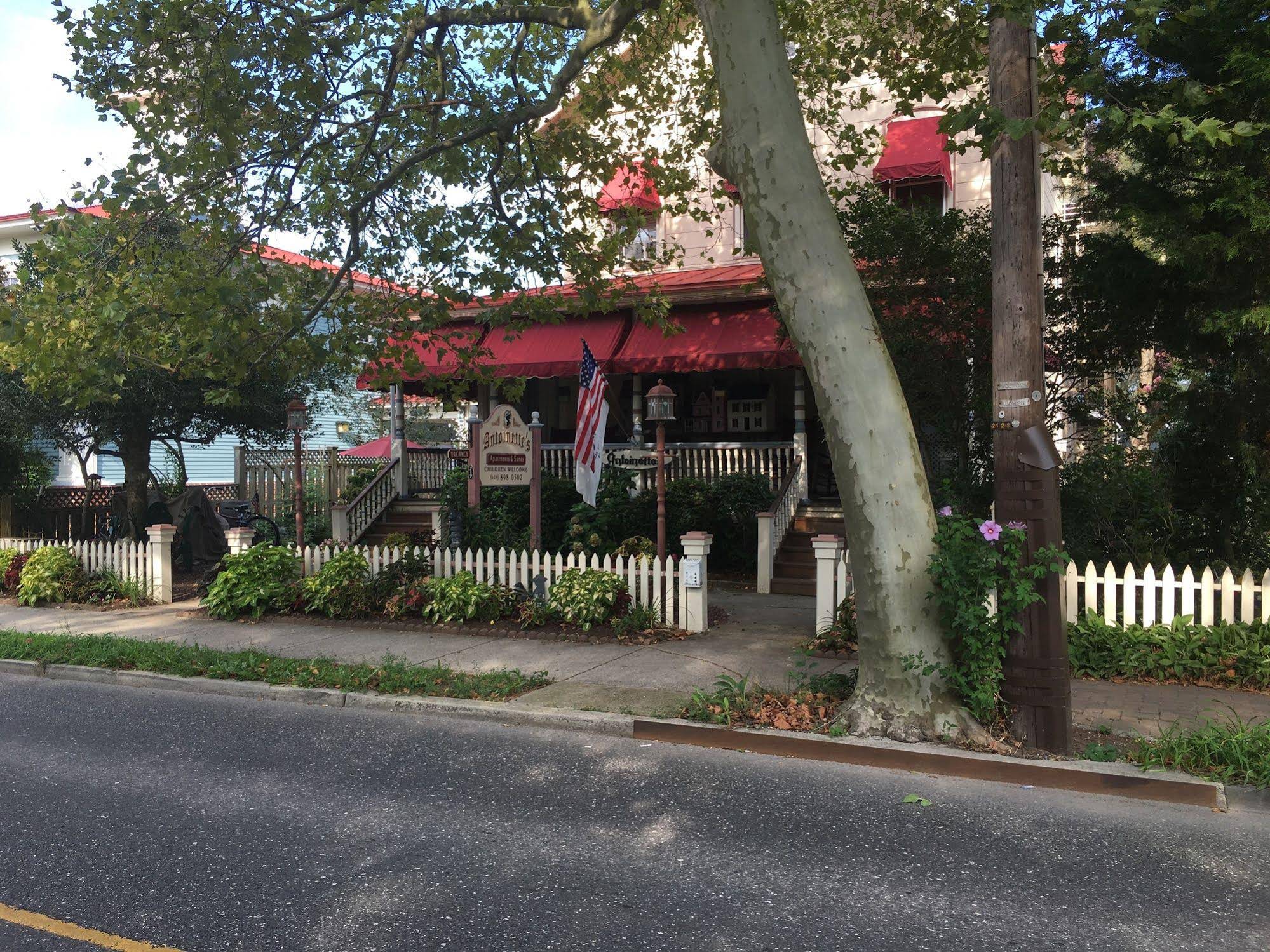 Antoinette's Apartments & Suites