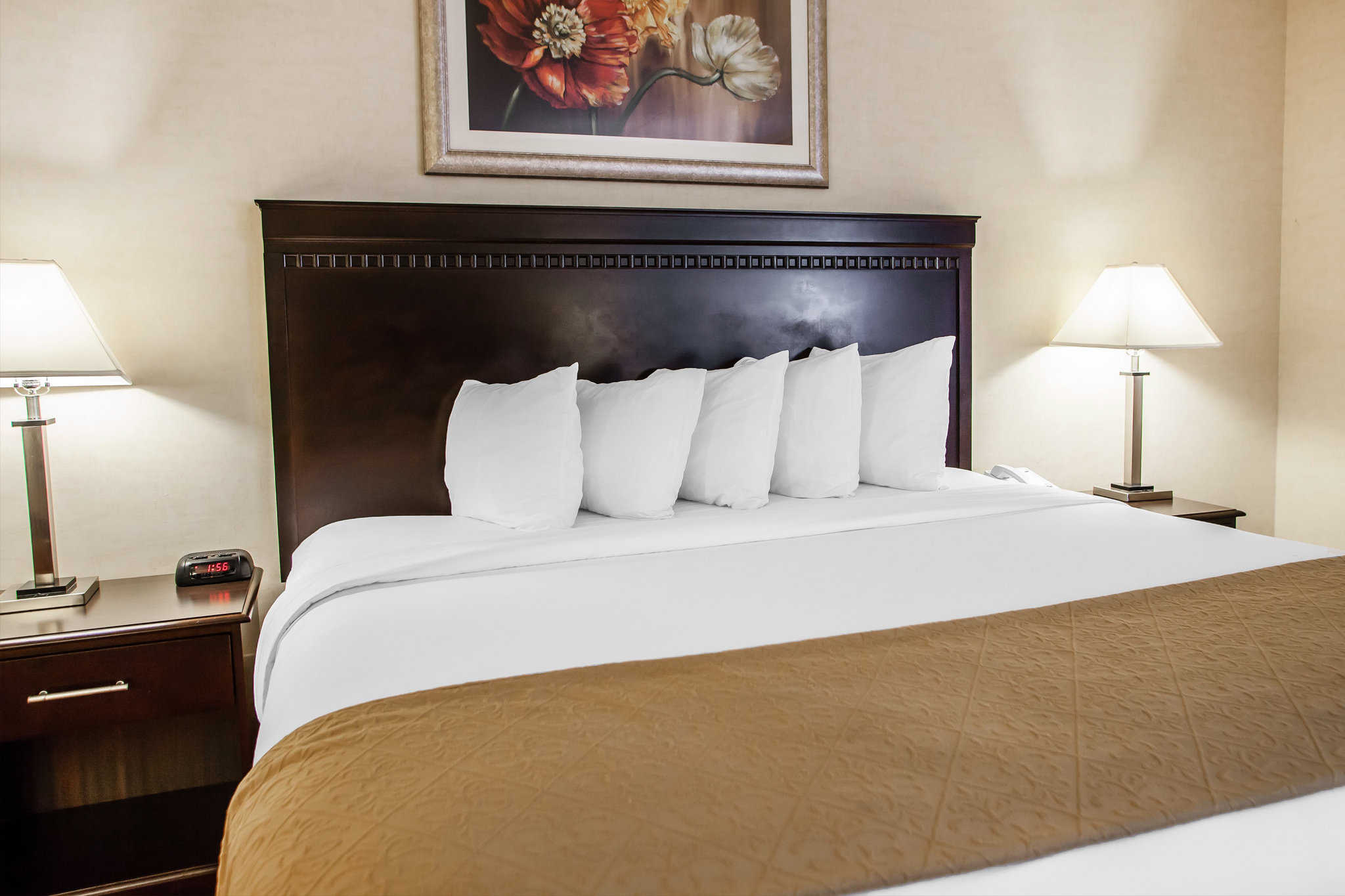 Red Roof Inn & Suites Mt Holly - McGuire AFB