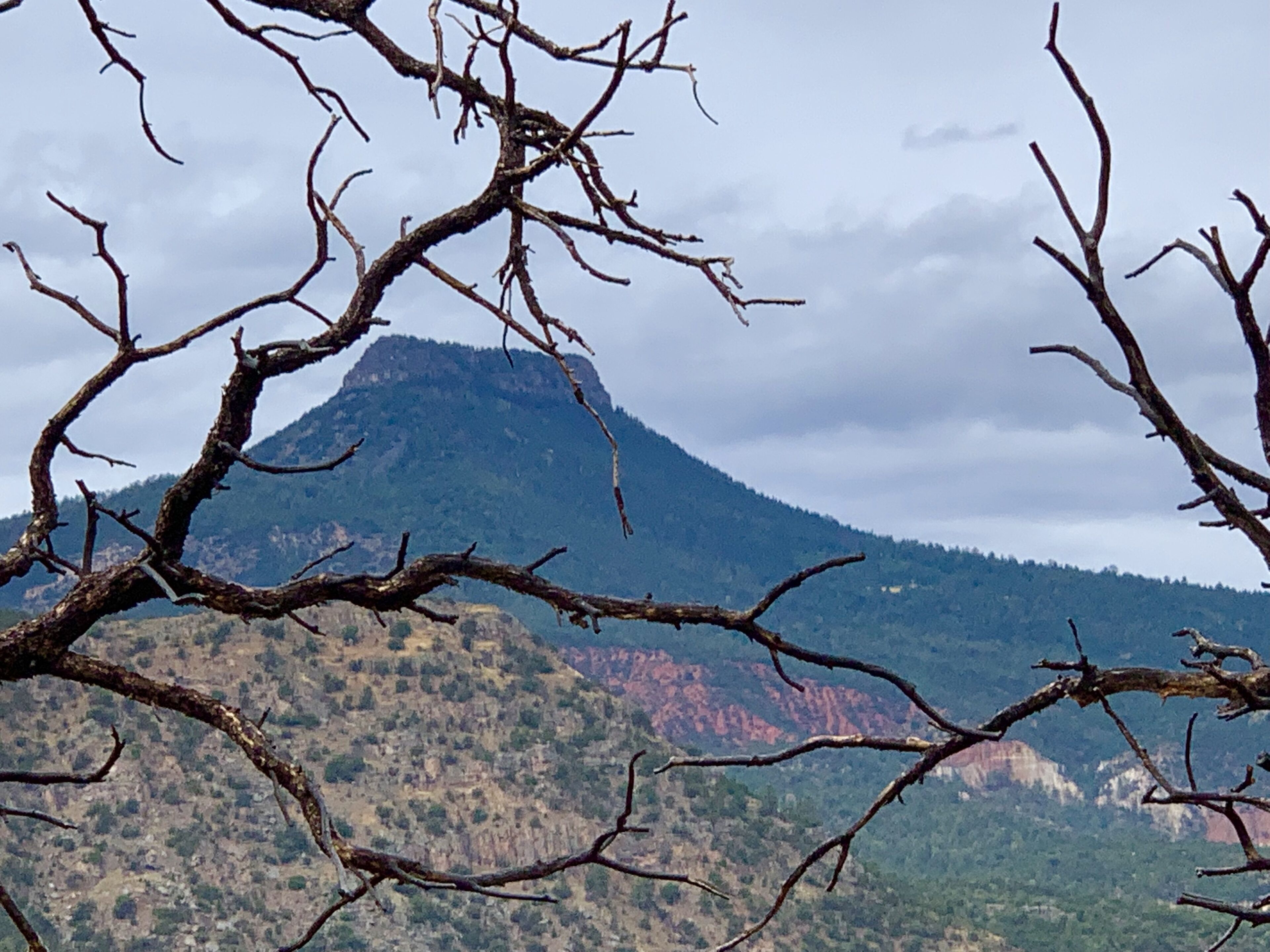 The Grand Hacienda Bed And Breakfast