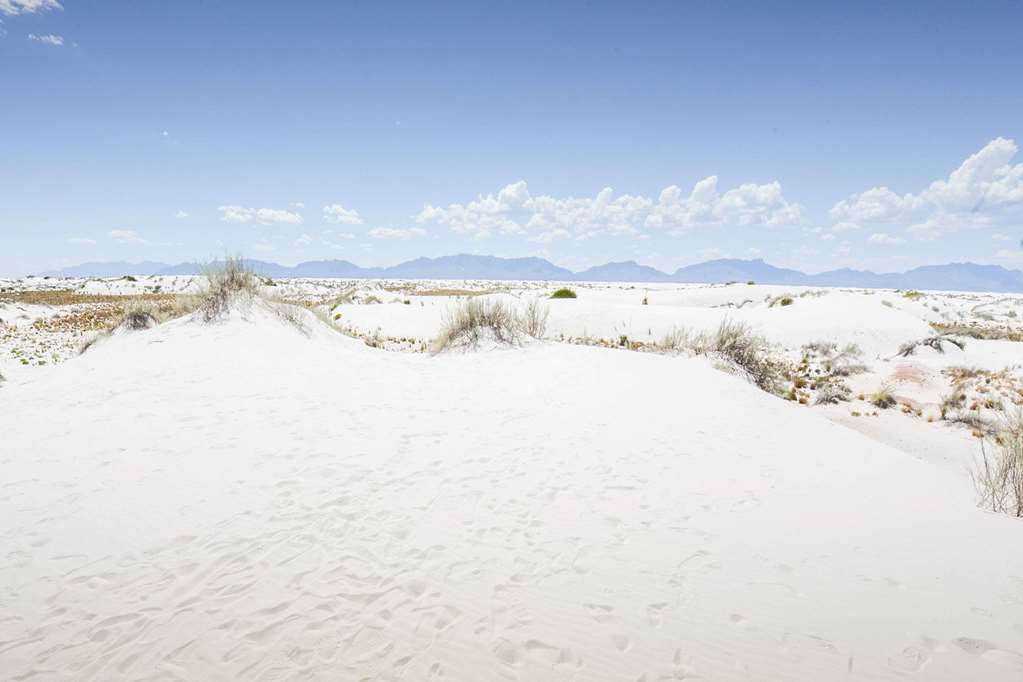 Days Inn by Wyndham Alamogordo