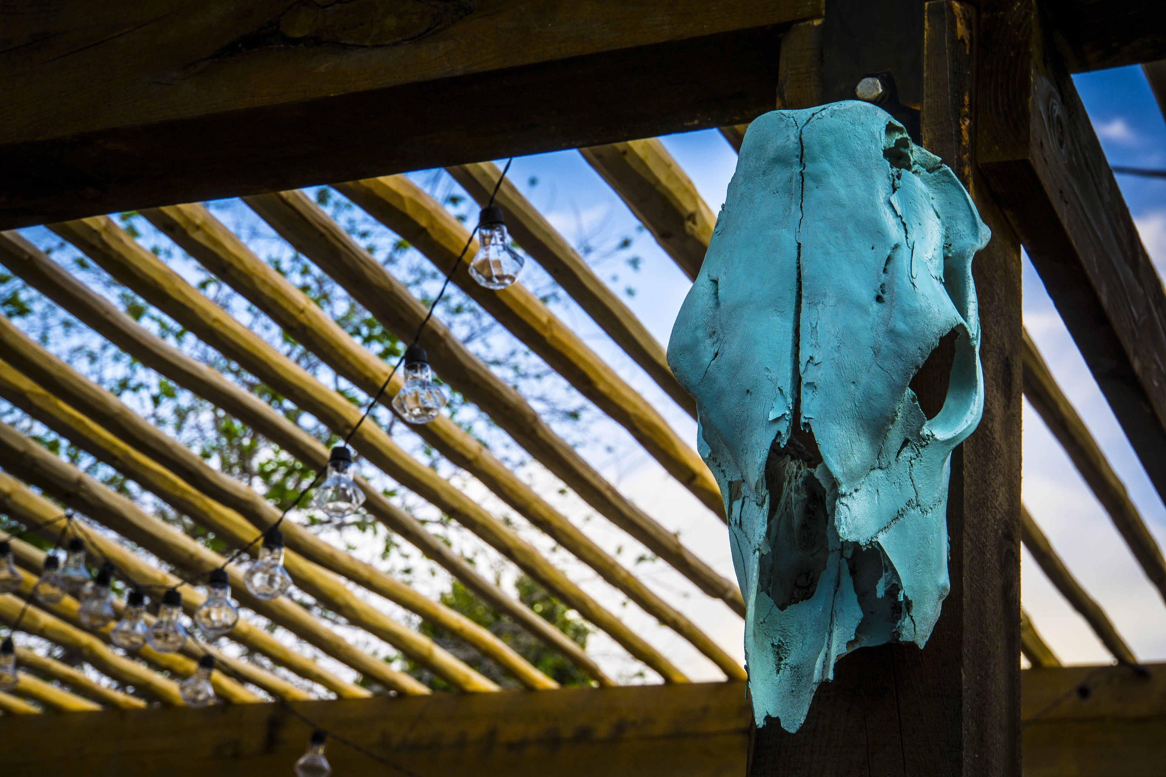 Painted Lady Bed & Brew