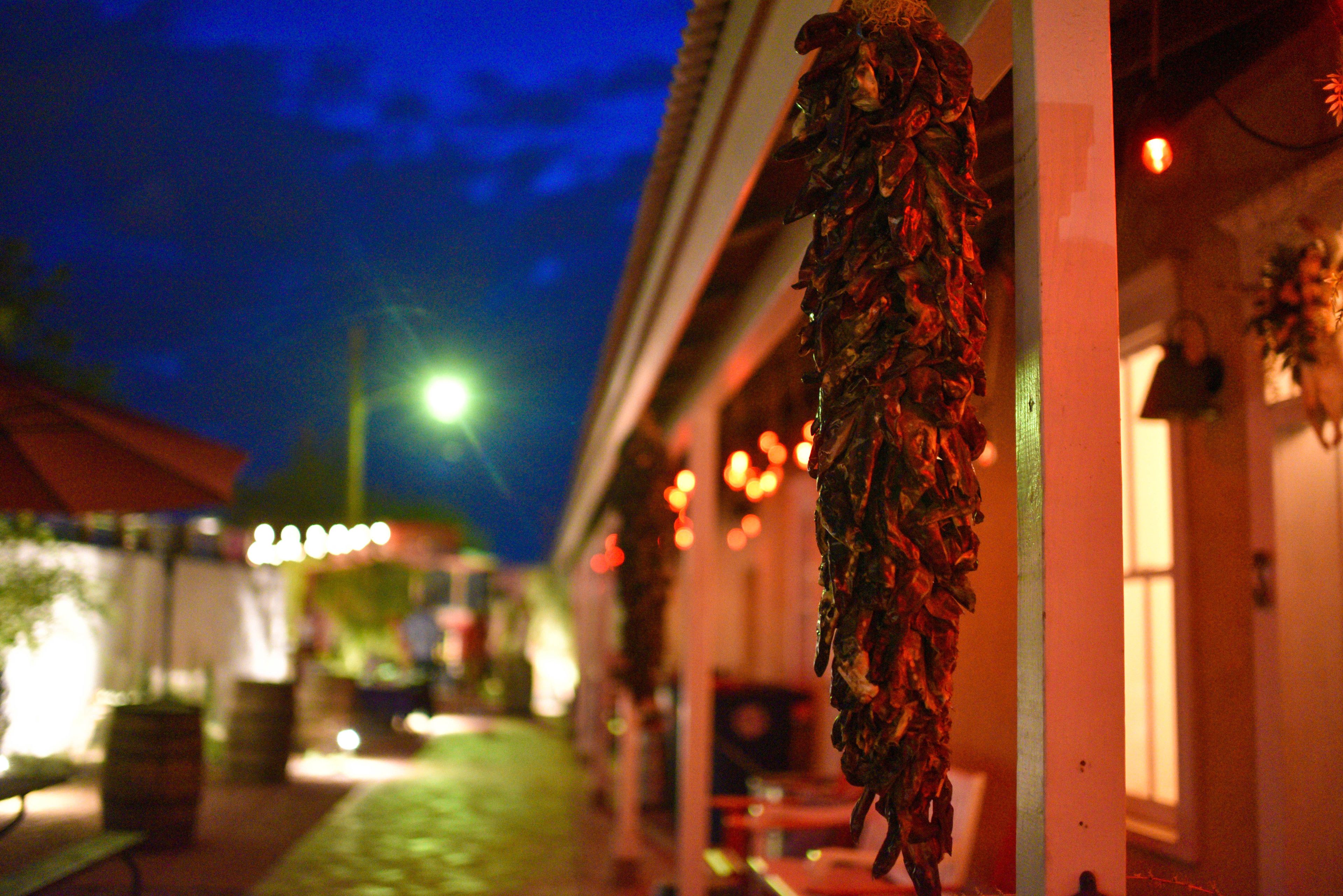 Painted Lady Bed & Brew