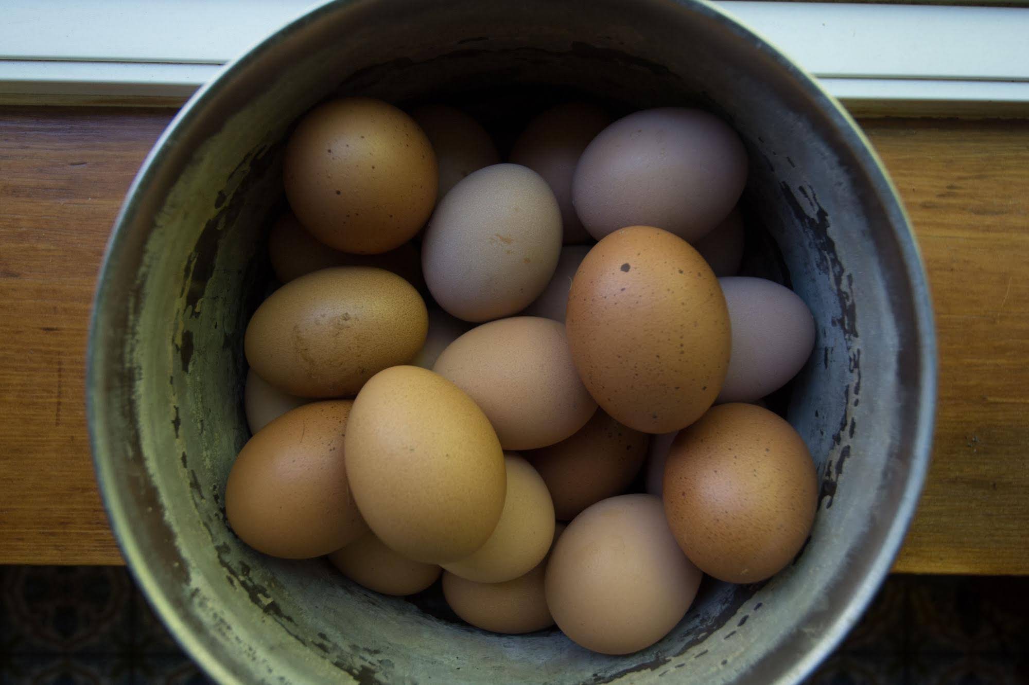 Red Horse Vineyard Bed & Breakfast