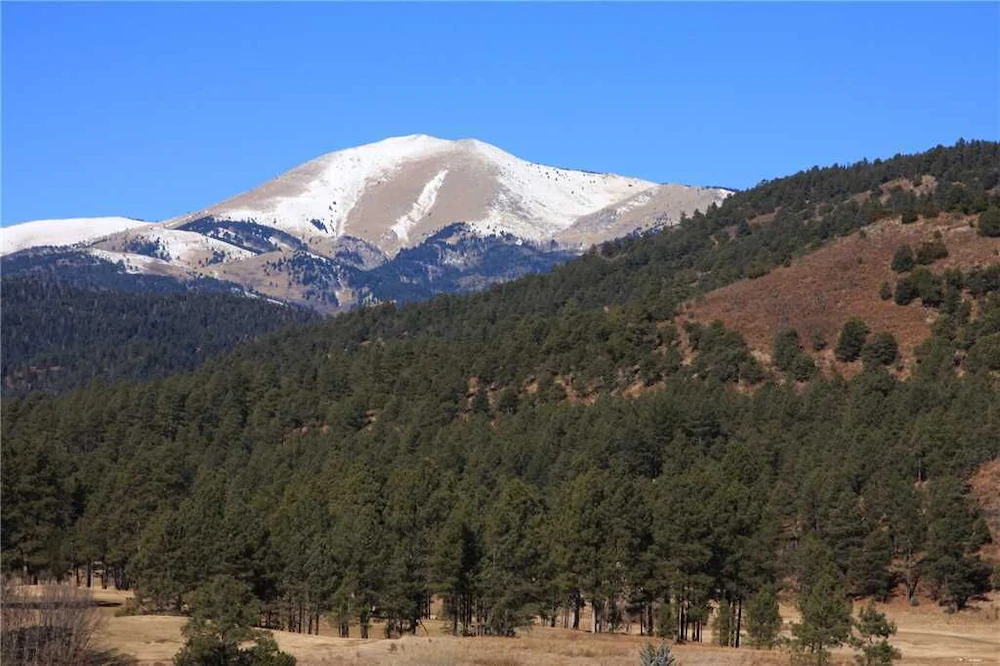 Wild Horse Retreat