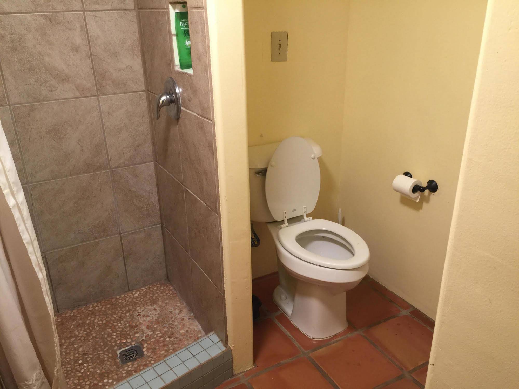 SnowMansion Eco Adventure Lodge & Hostel