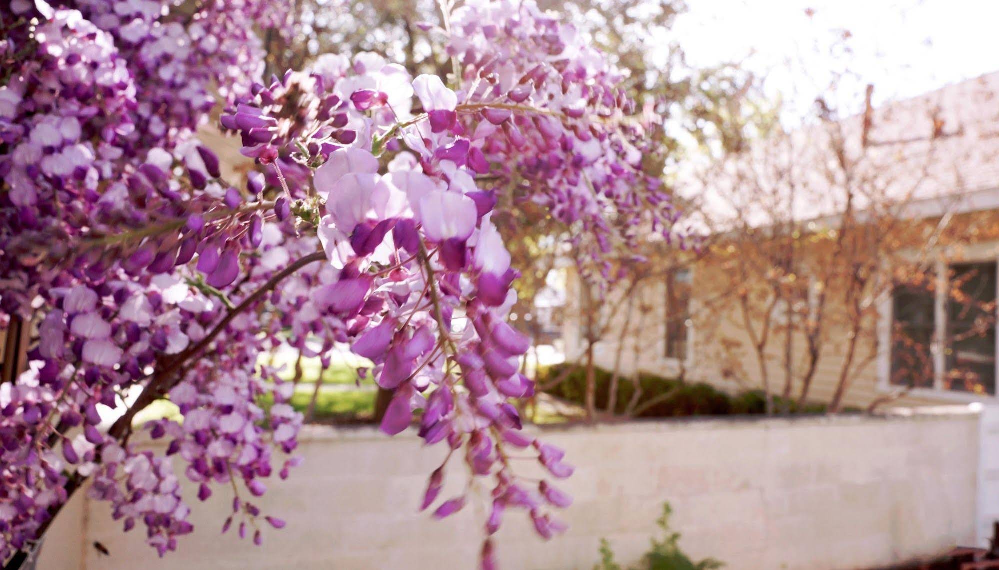 Fiddler's Inn Bed & Breakfast