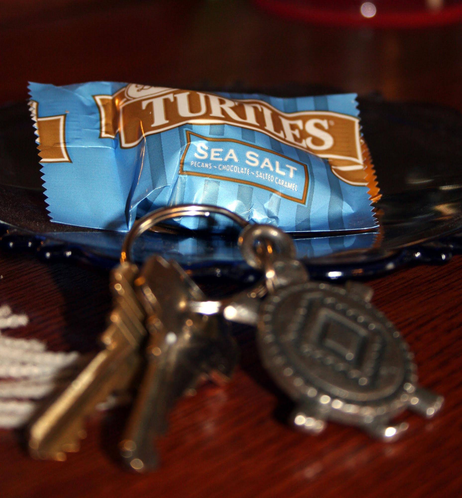 Chocolate Turtle Bed and Breakfast