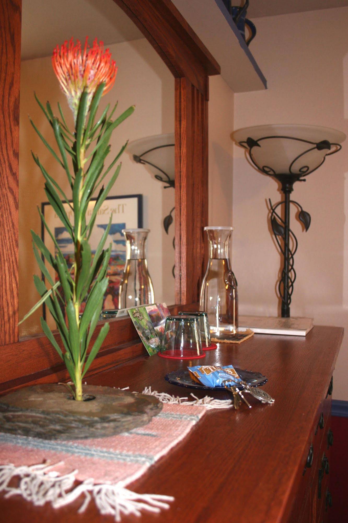 Chocolate Turtle Bed and Breakfast