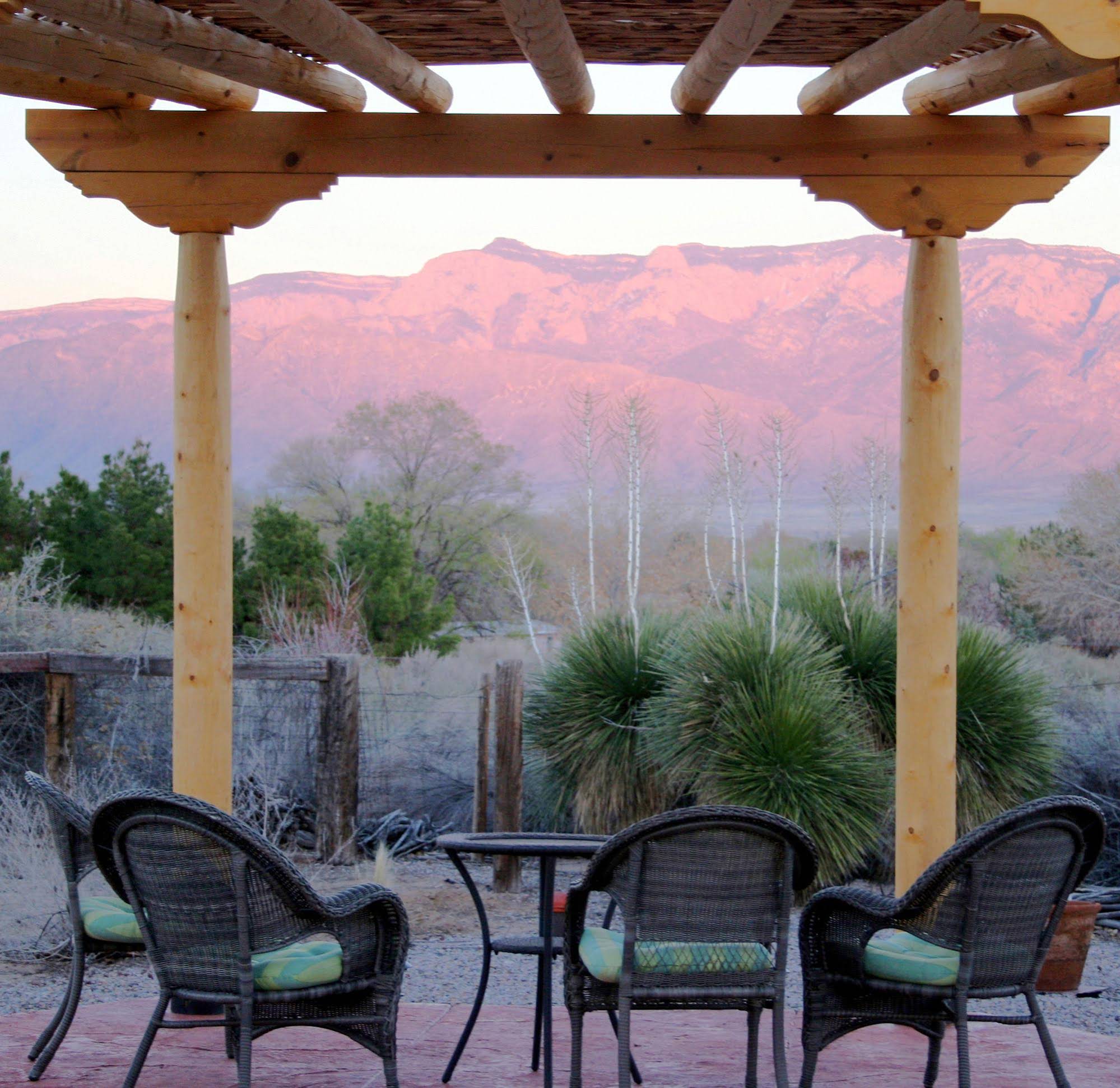 Chocolate Turtle Bed and Breakfast