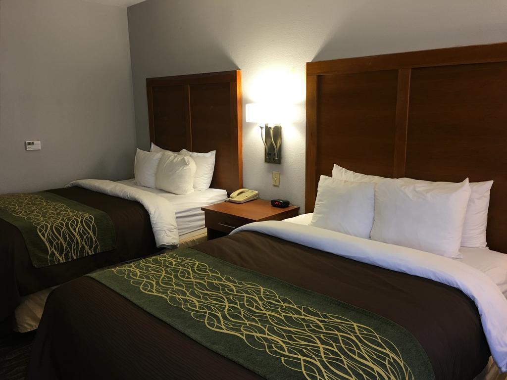 Comfort Inn & Suites Las Cruces Mesilla
