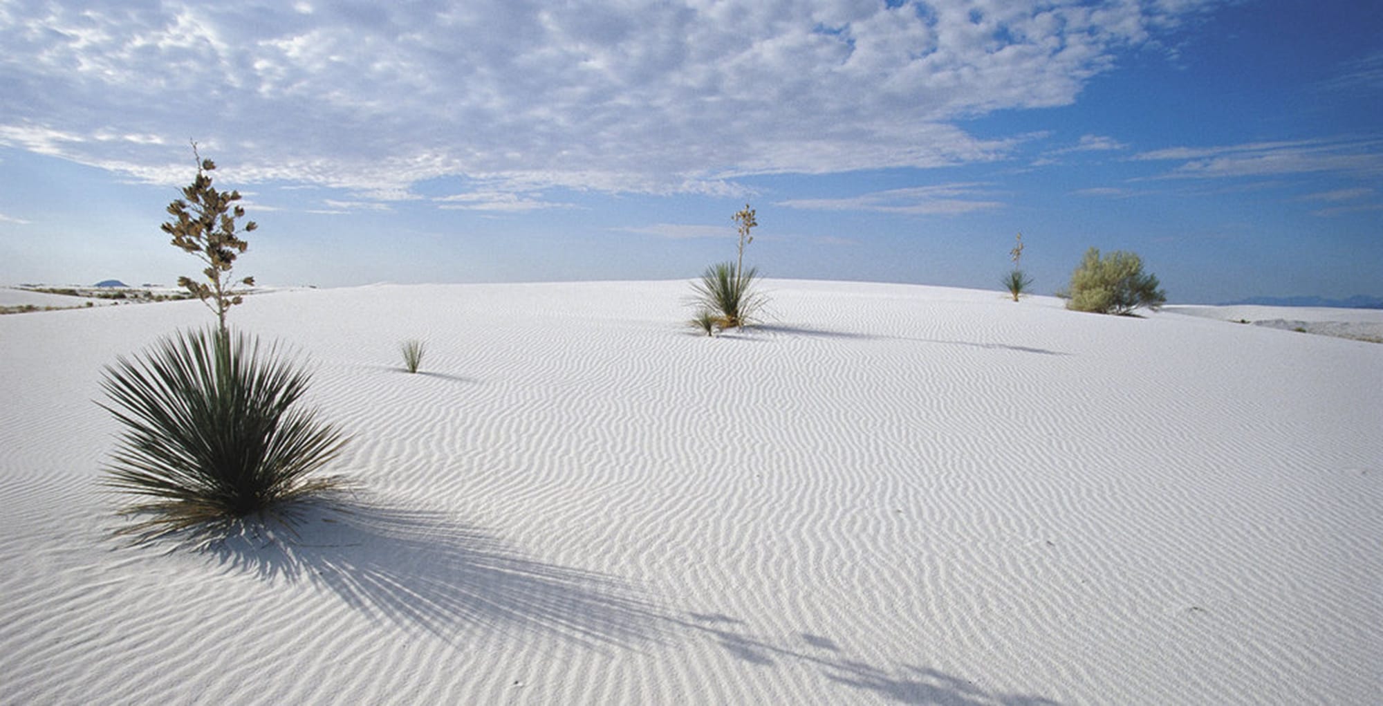 Holiday Inn Express & Suites Las Cruces North