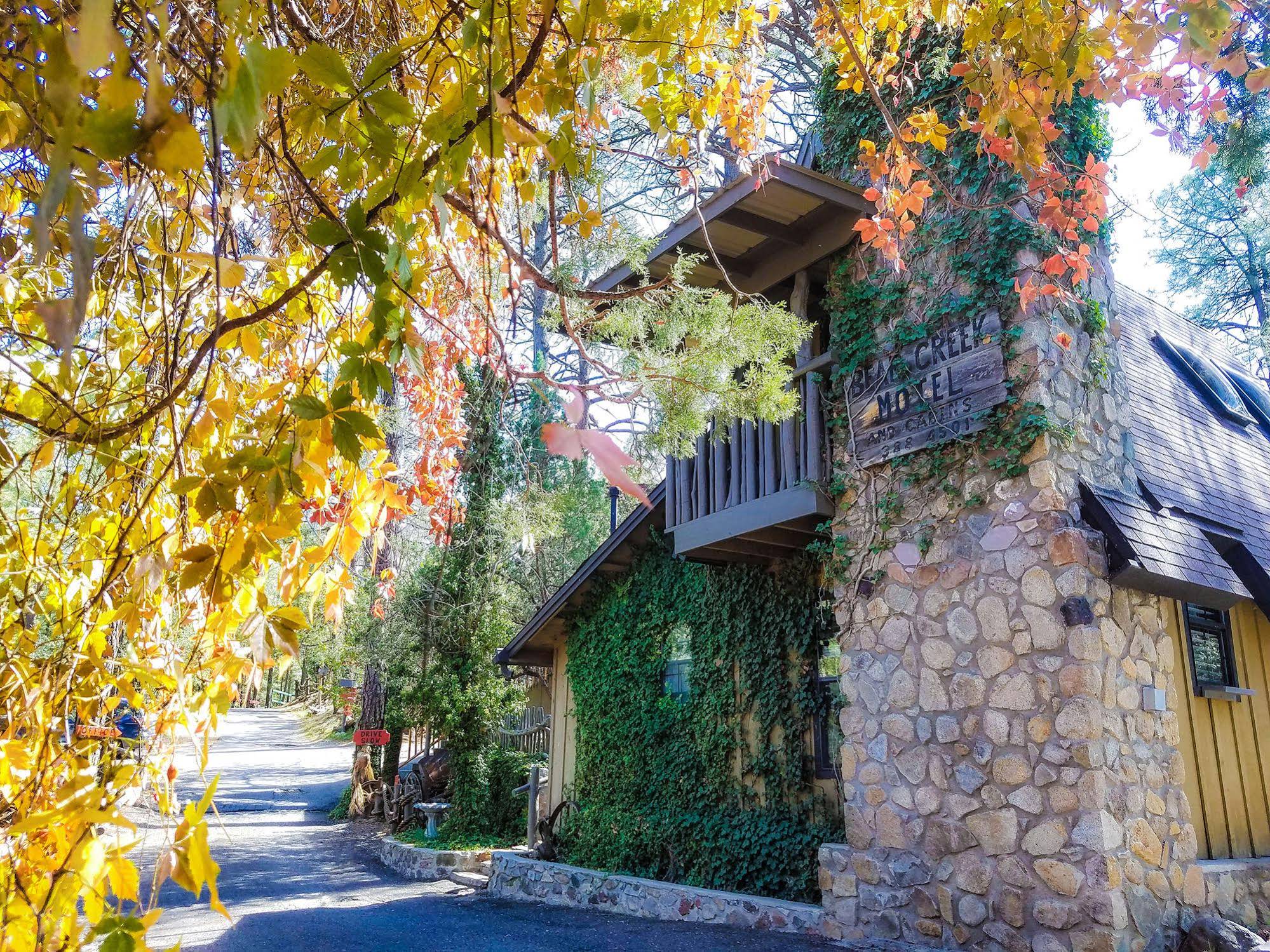 Bear Creek Motel And Cabins