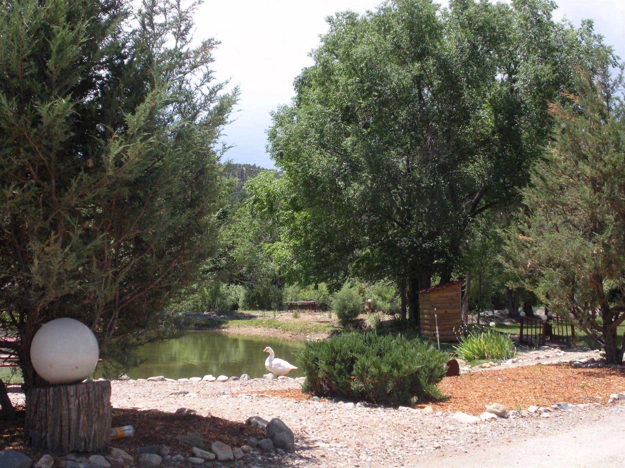 Questa Lodge and RV Park