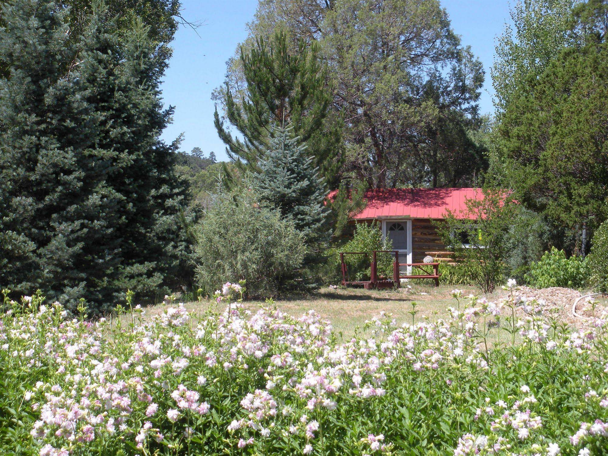 Questa Lodge and RV Park