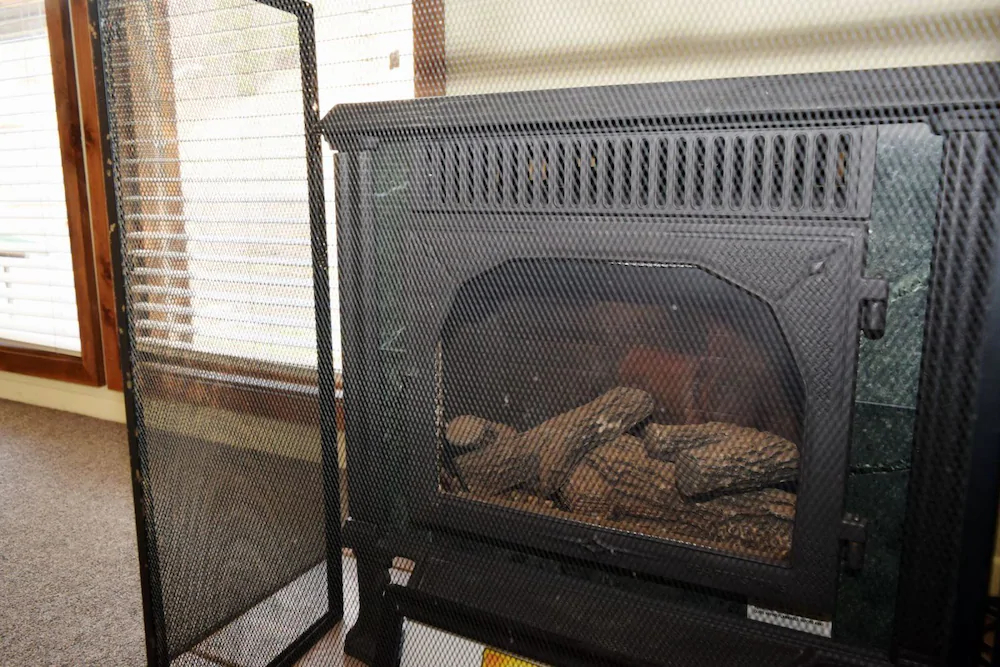 Birds And Bears Retreat