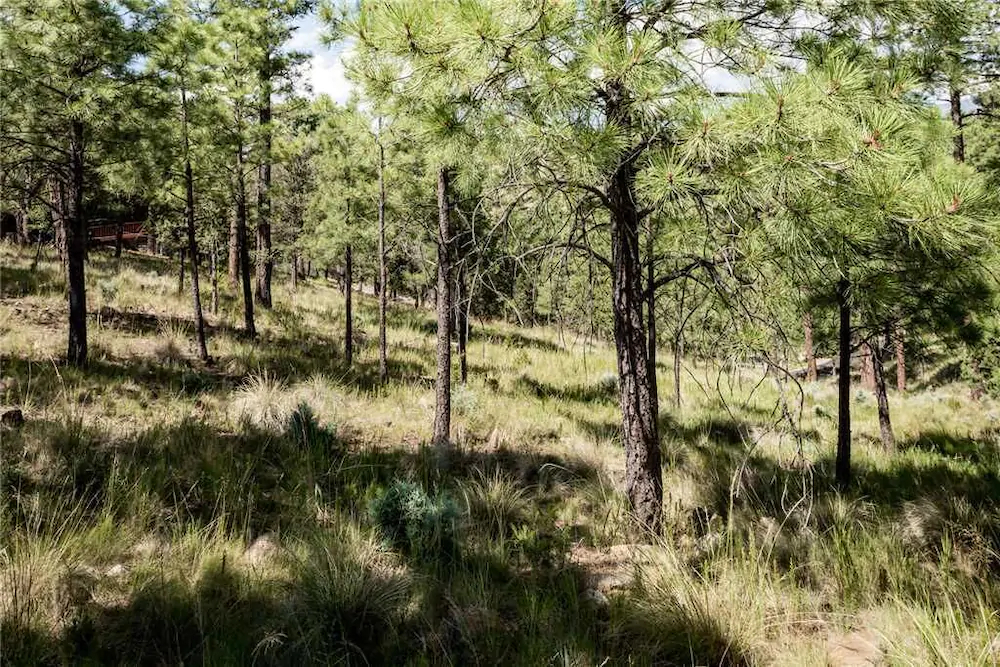 Adobe Mountain Views