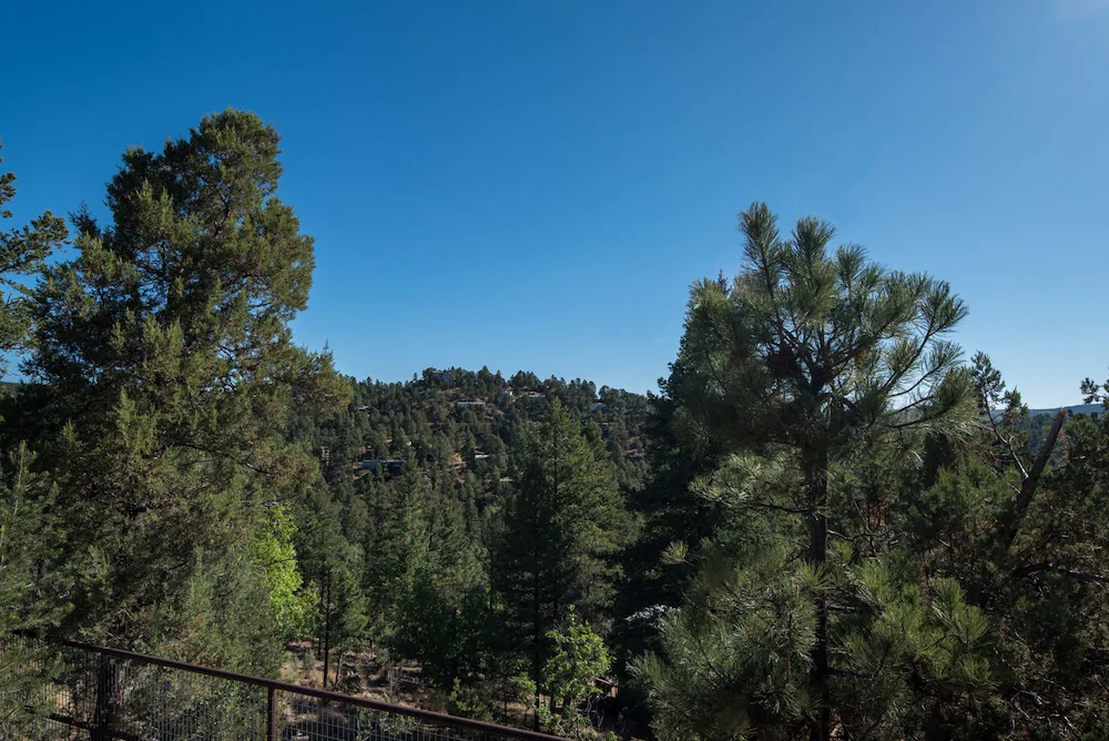 Aviator by RedAwning