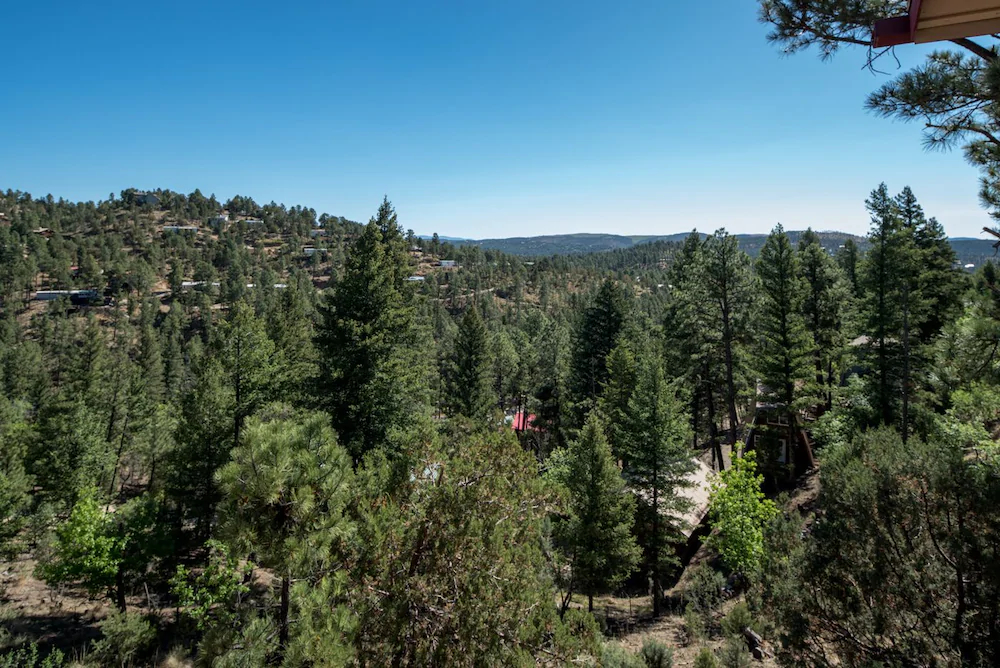 Aviator by RedAwning