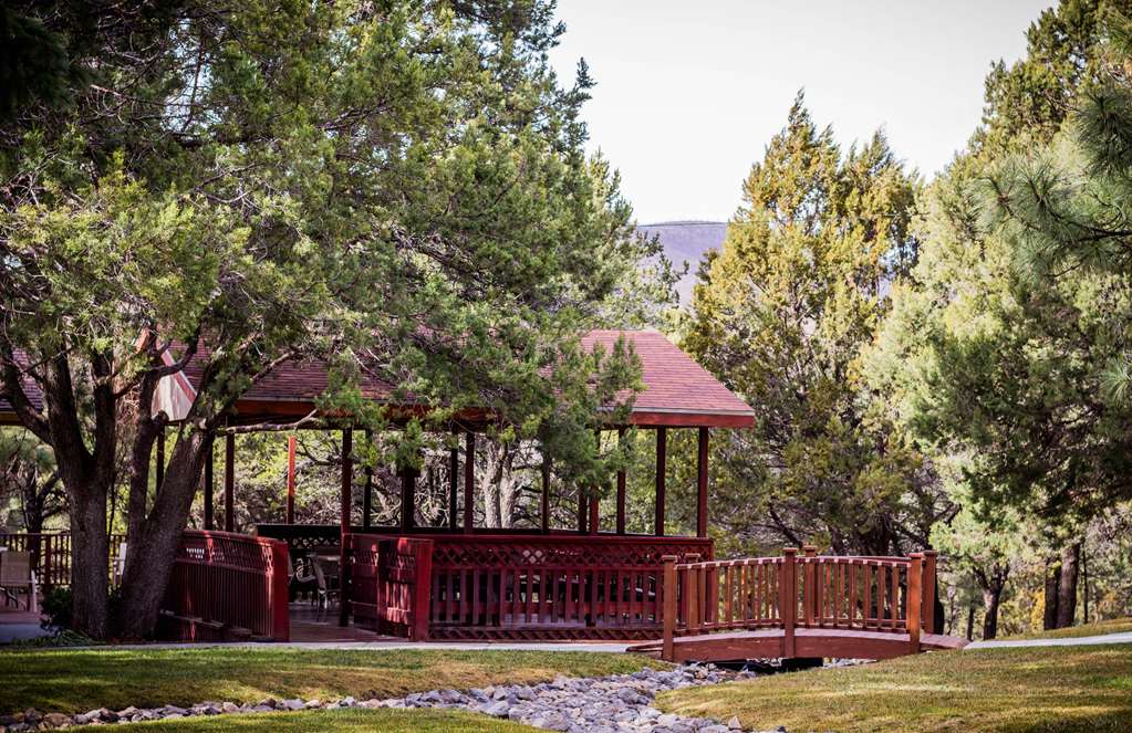 Best Western Pine Springs Inn