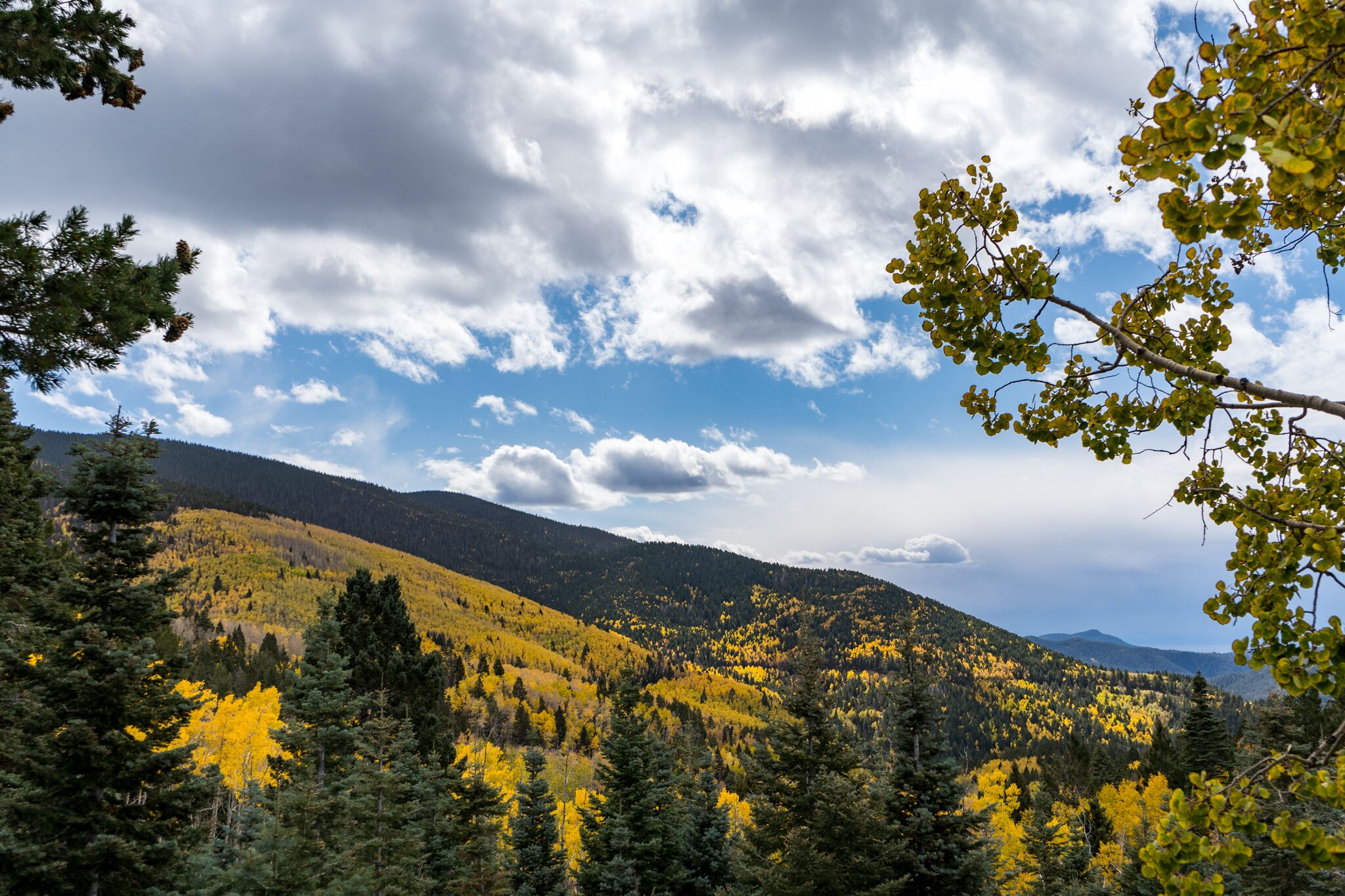 Bishop's Lodge - Villas