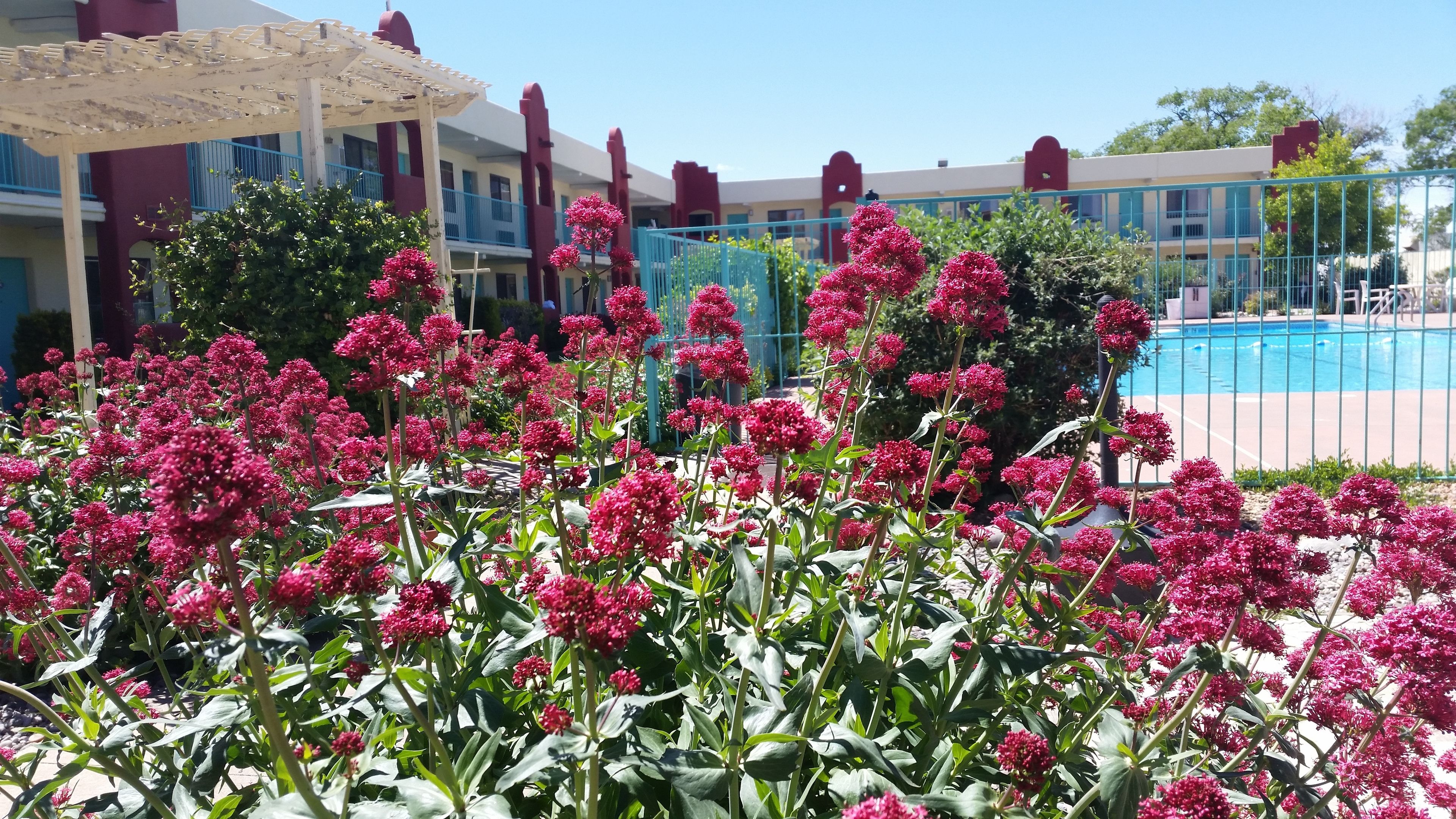 Days Inn by Wyndham Santa Fe New Mexico