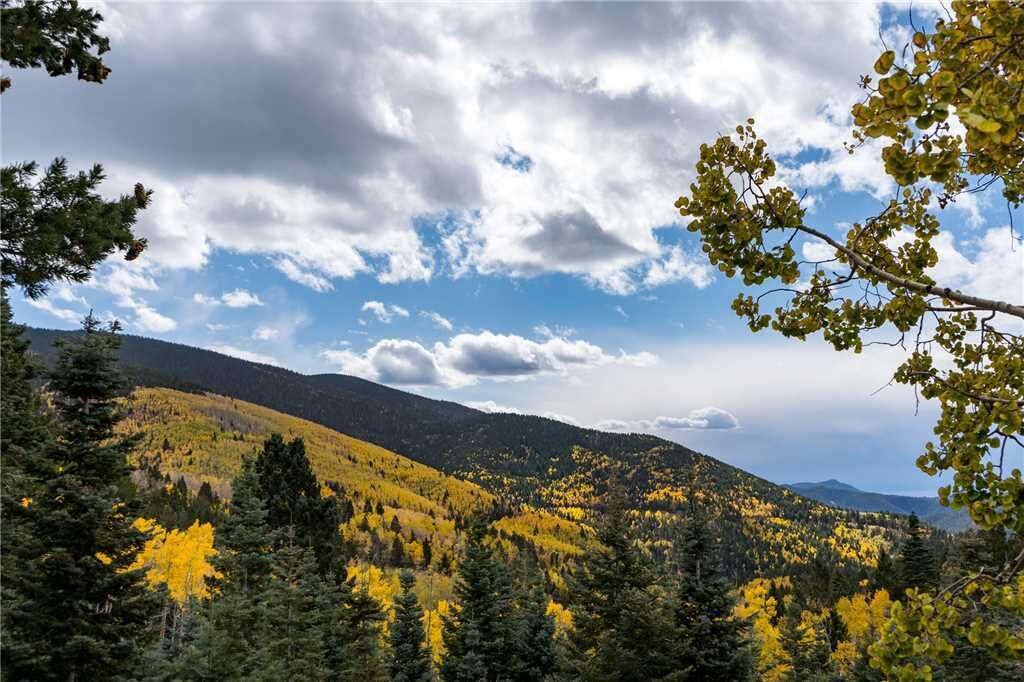 Dorthia Garden Retreat and Views