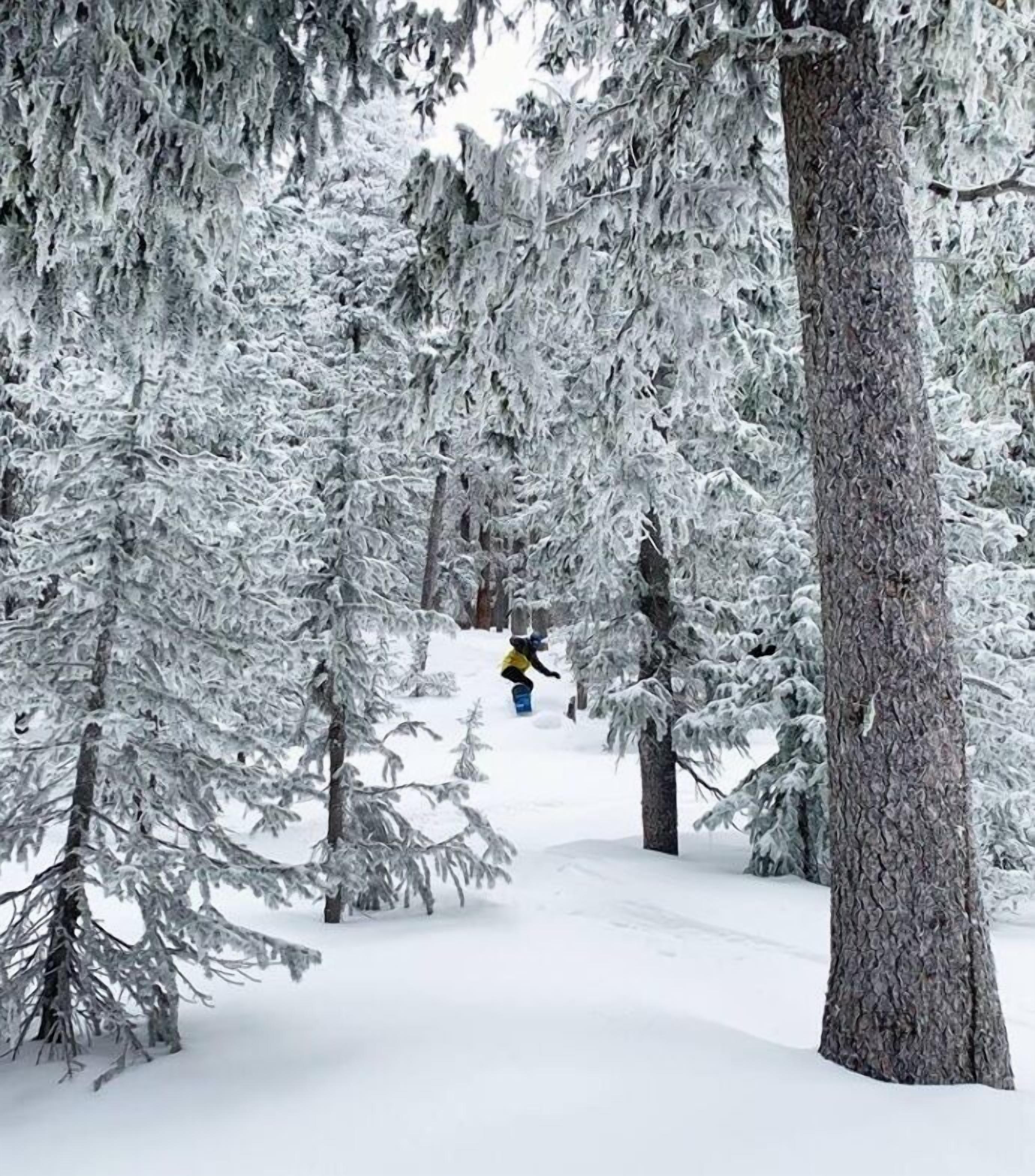 Inn of the Governors