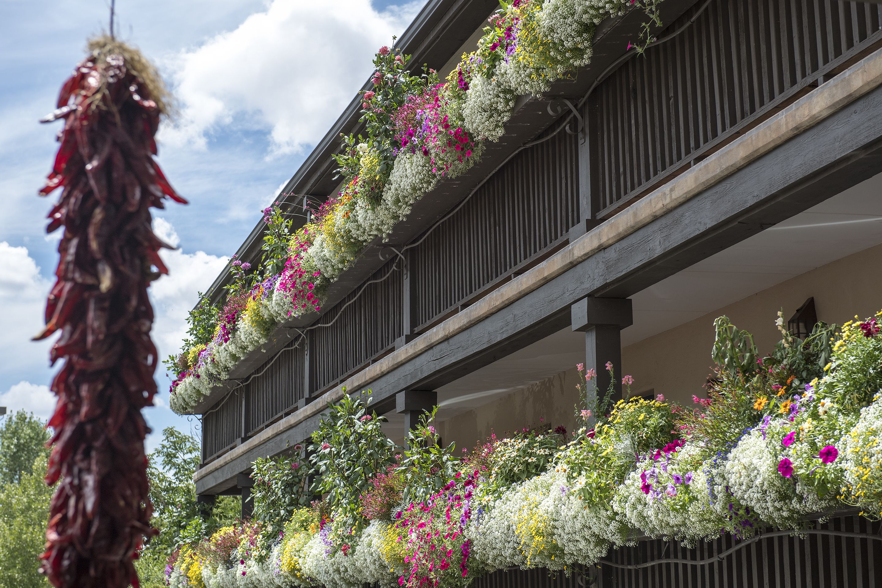 Inn of the Governors