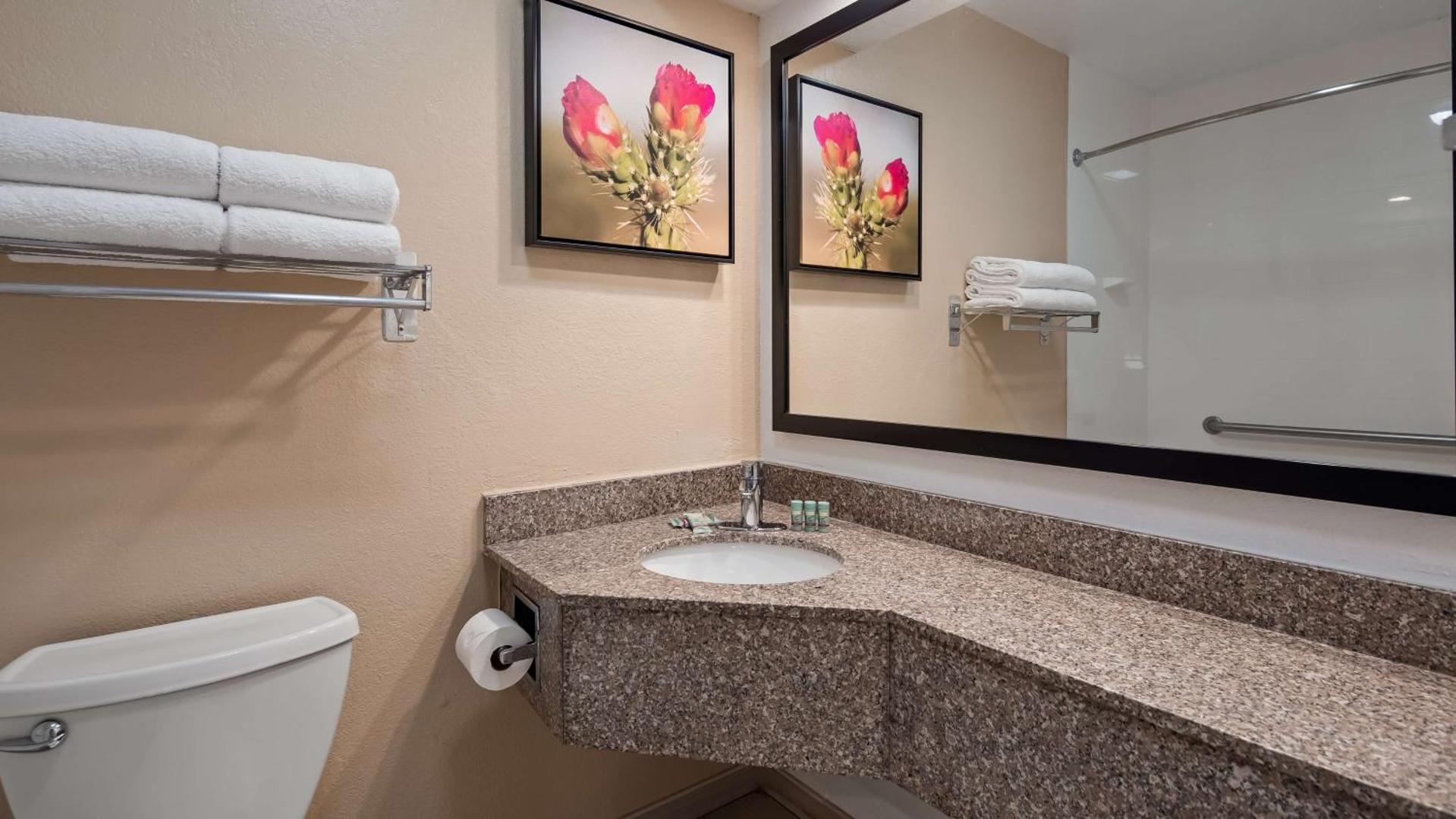 Best Western Santa Rosa Inn