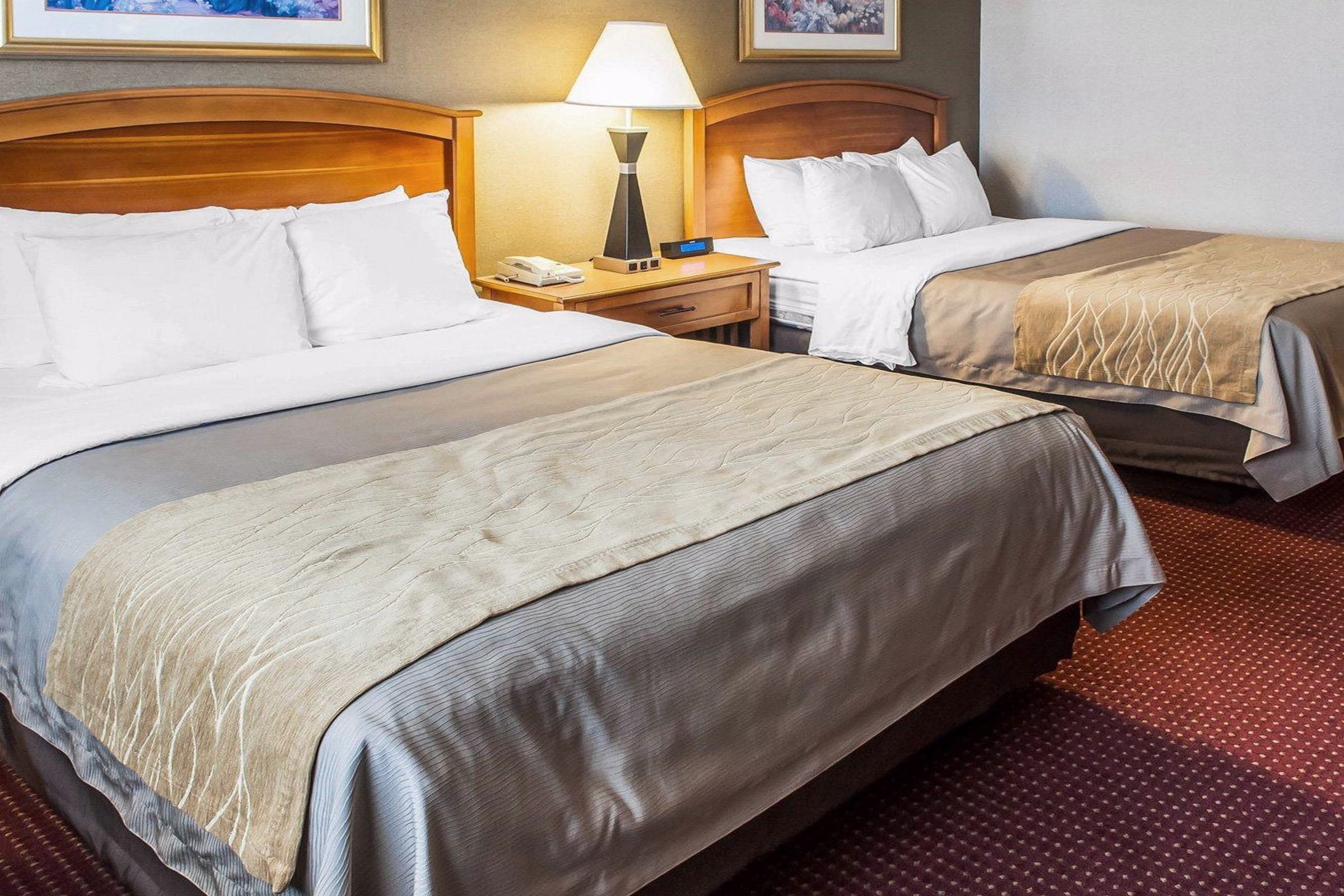 Comfort Inn & Suites I-25 Near Spaceport America