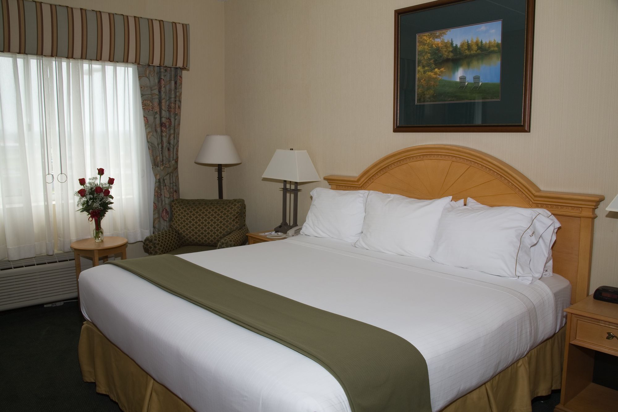 Holiday Inn Express & Suites Watertown - Thousand Islands