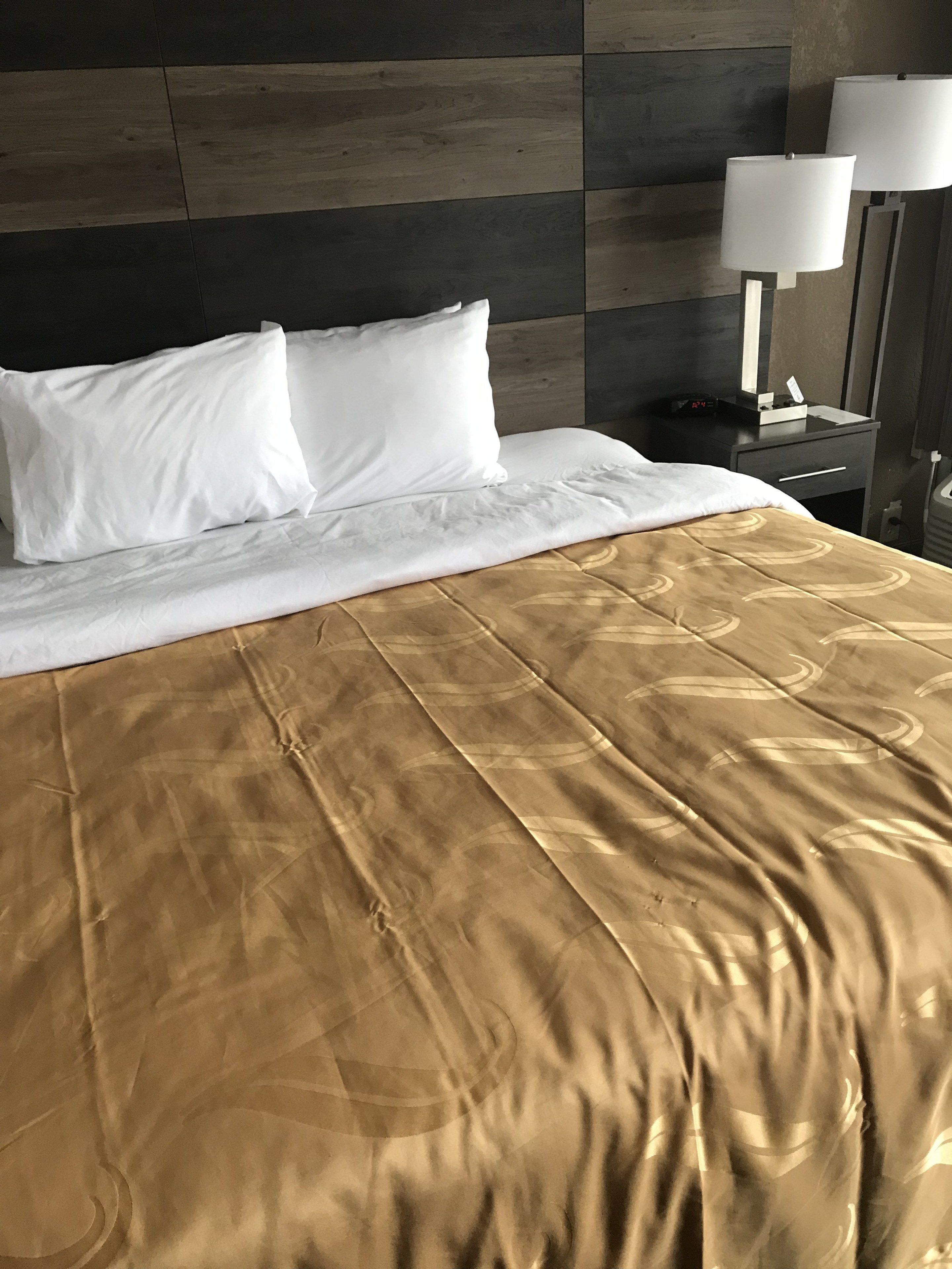 Quality Inn