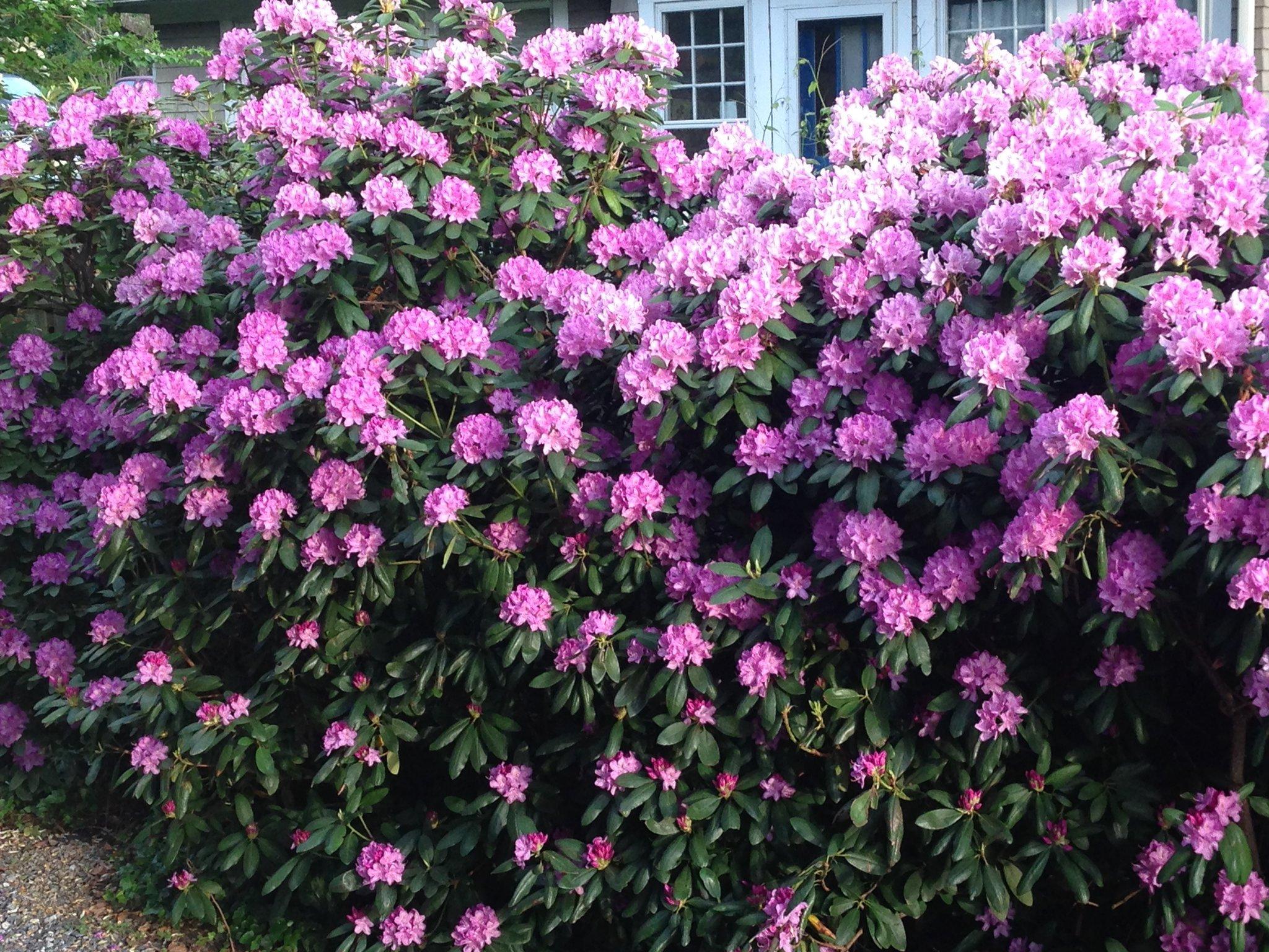 1900 Inn on Montford