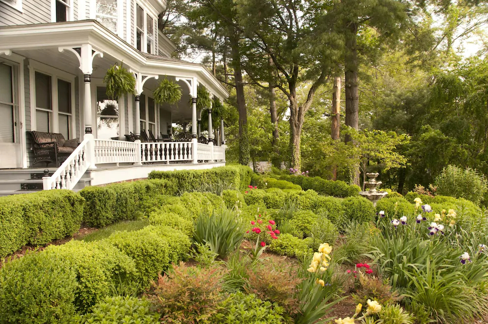 Biltmore Village Inn
