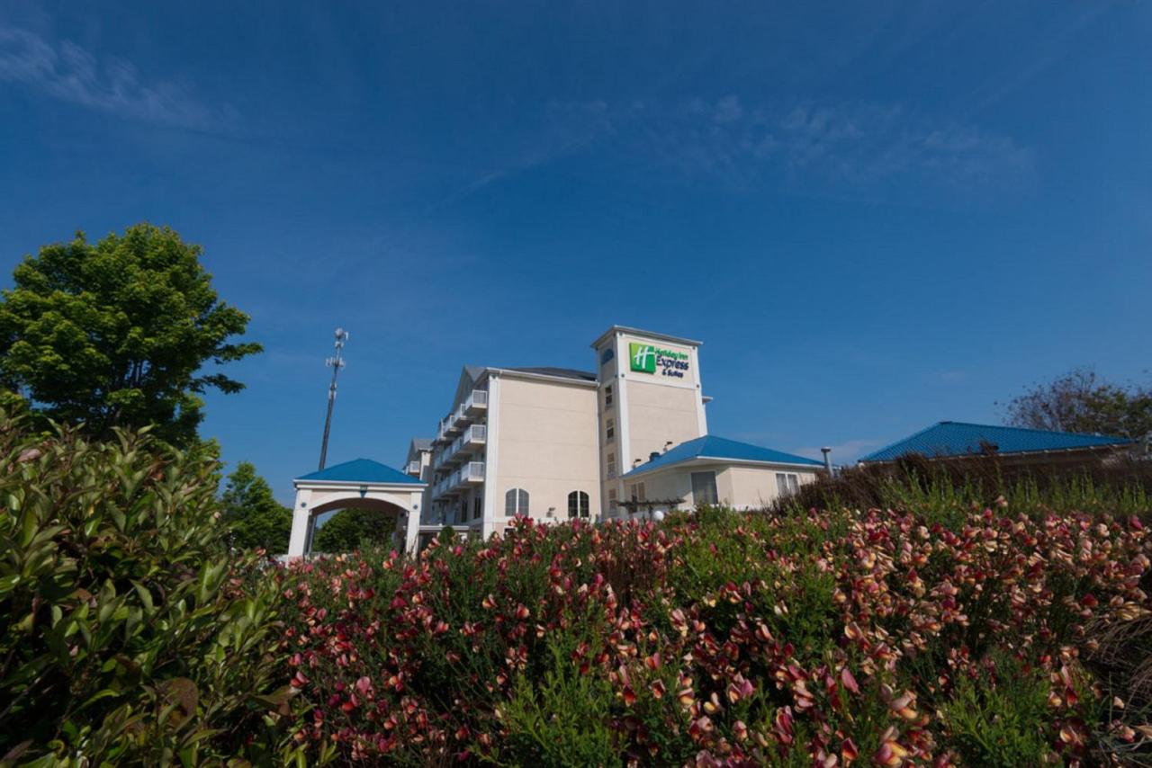 Holiday Inn Express & Suites Asheville SW - Outlet Ctr Area