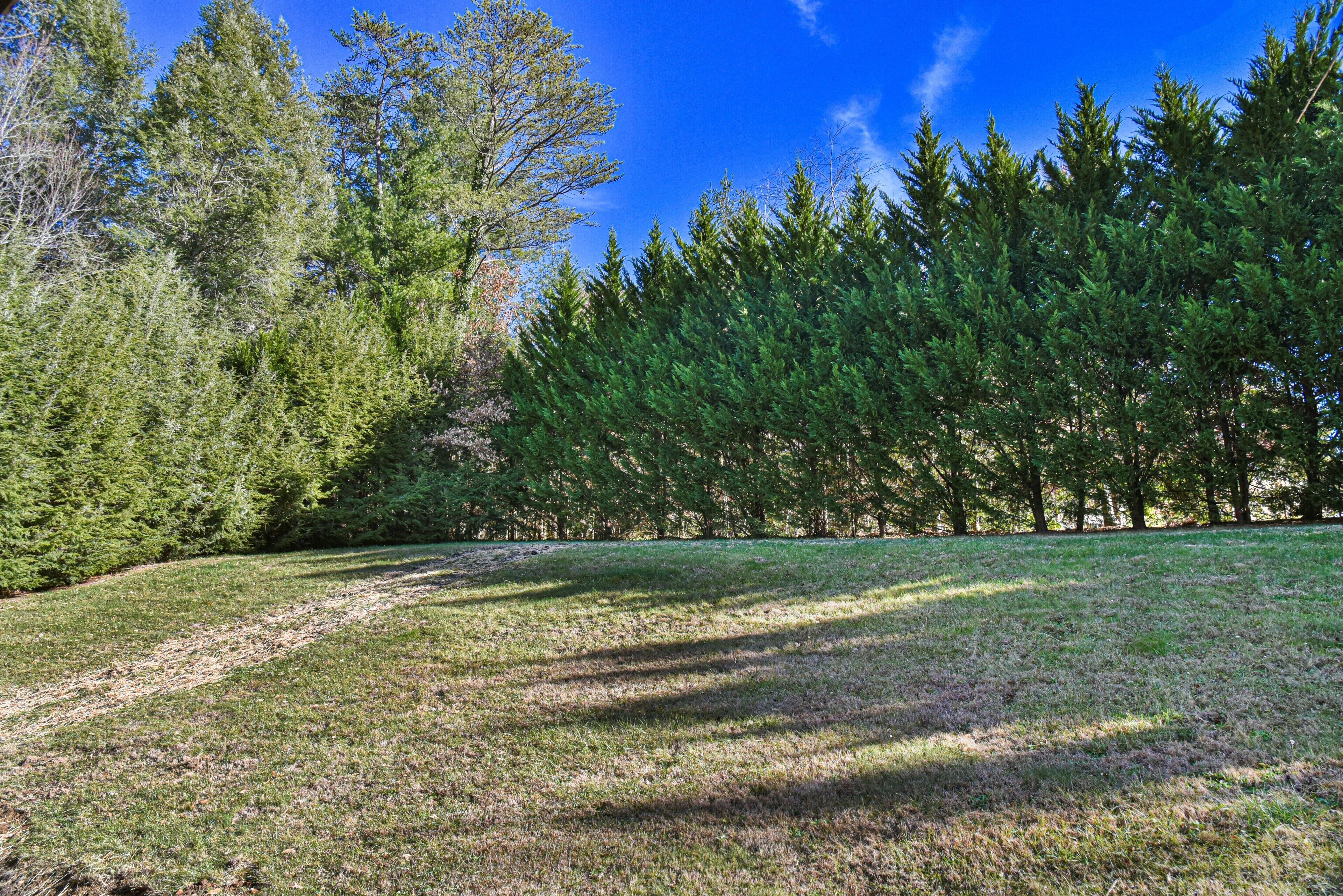 Kingdom on Knollwood