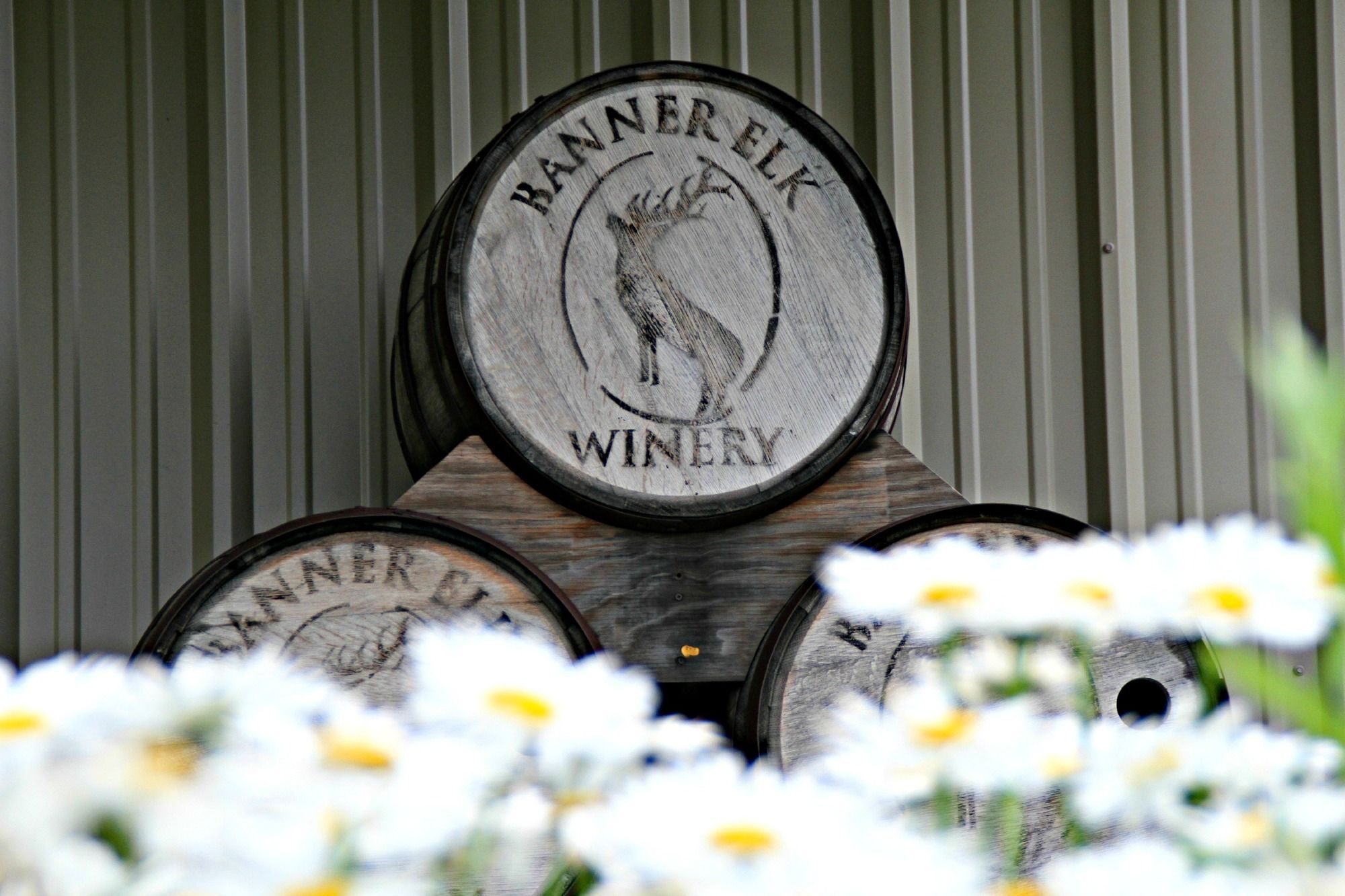 Banner Elk Winery & Villa