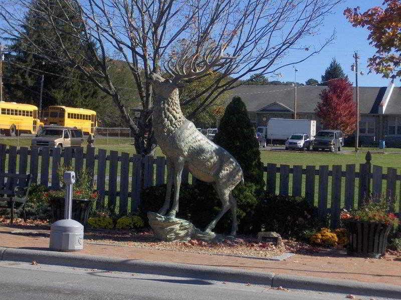 Best Western Mountain Lodge At Banner Elk