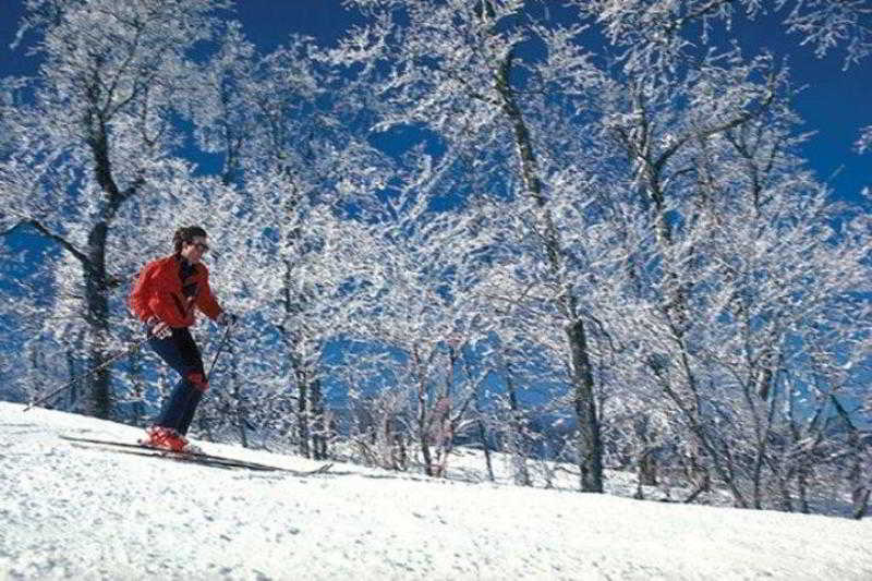 Best Western Mountain Lodge At Banner Elk