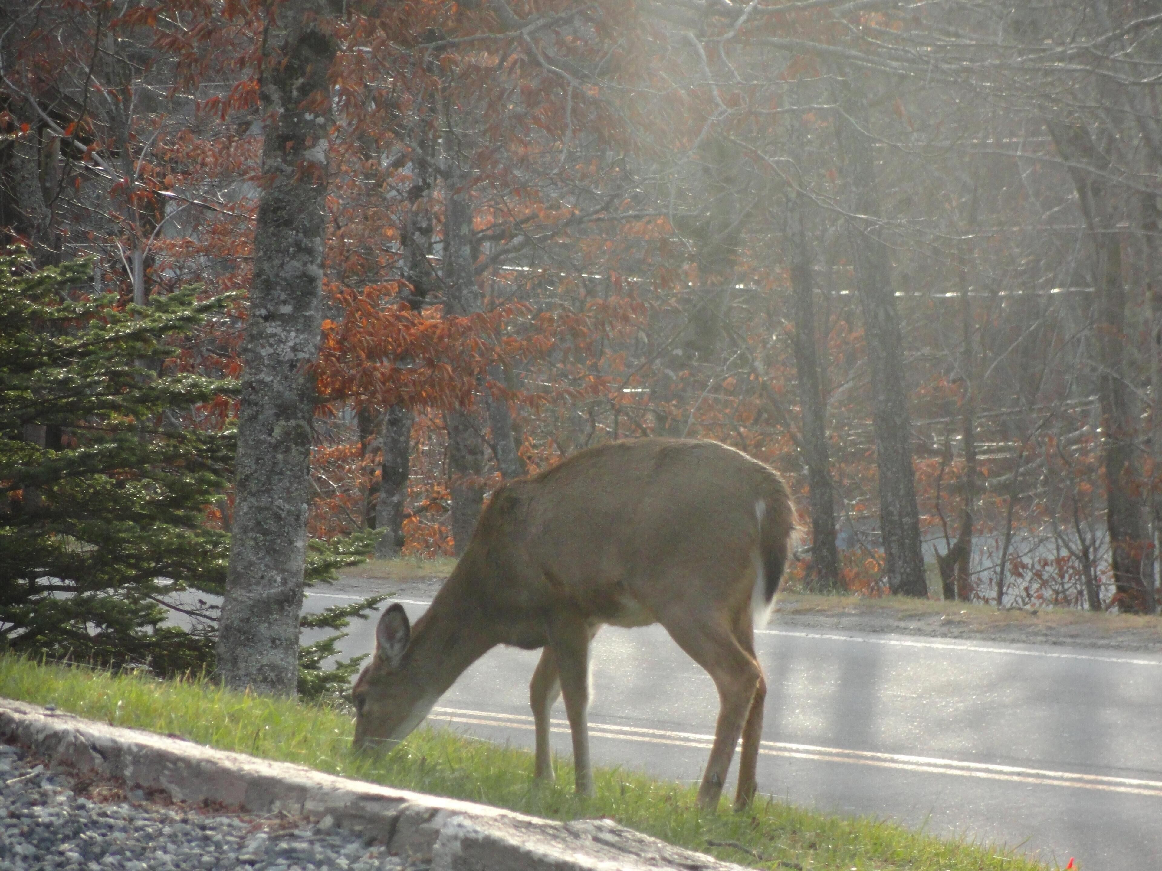 Klonteska Condominiums By VCI Real Estate Services