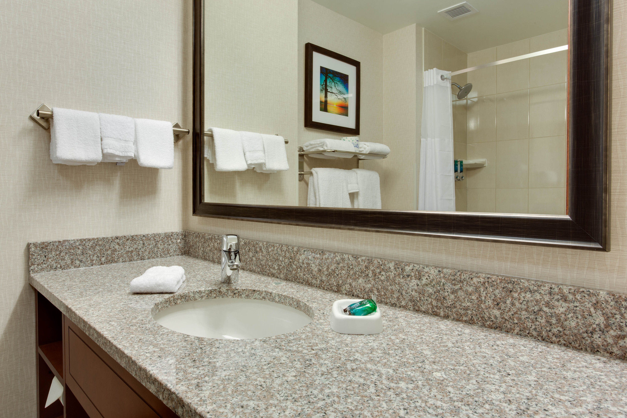 Drury Inn & Suites Charlotte Arrowood