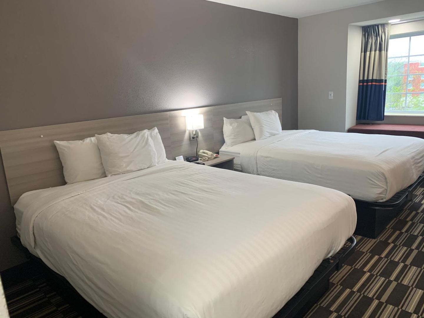 Microtel Inn & Suites by Wyndham Charlotte Airport