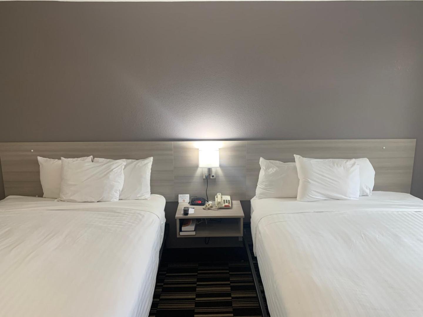 Microtel Inn & Suites by Wyndham Charlotte Airport