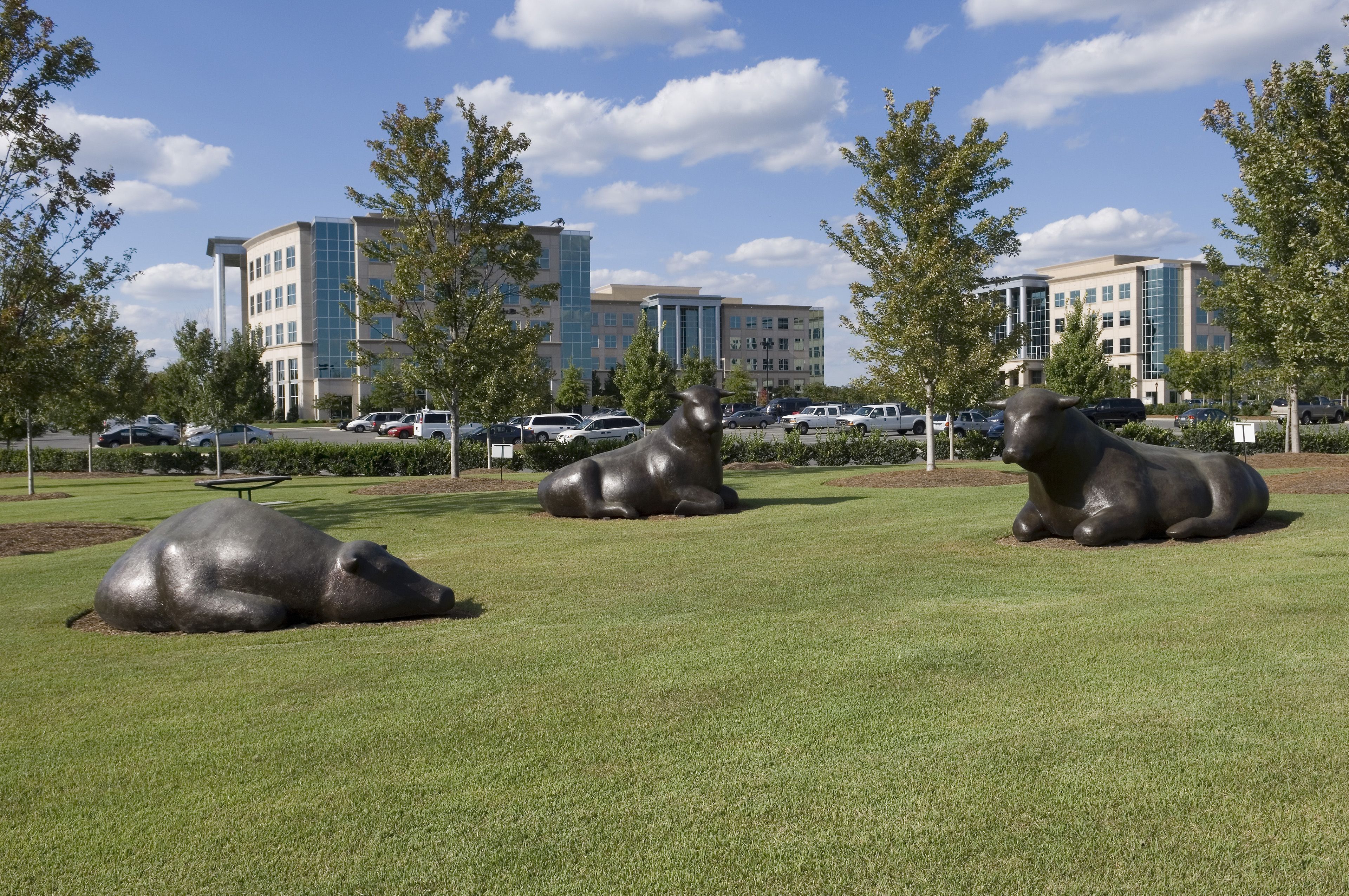 Staybridge Suites Charlotte-Ballantyne