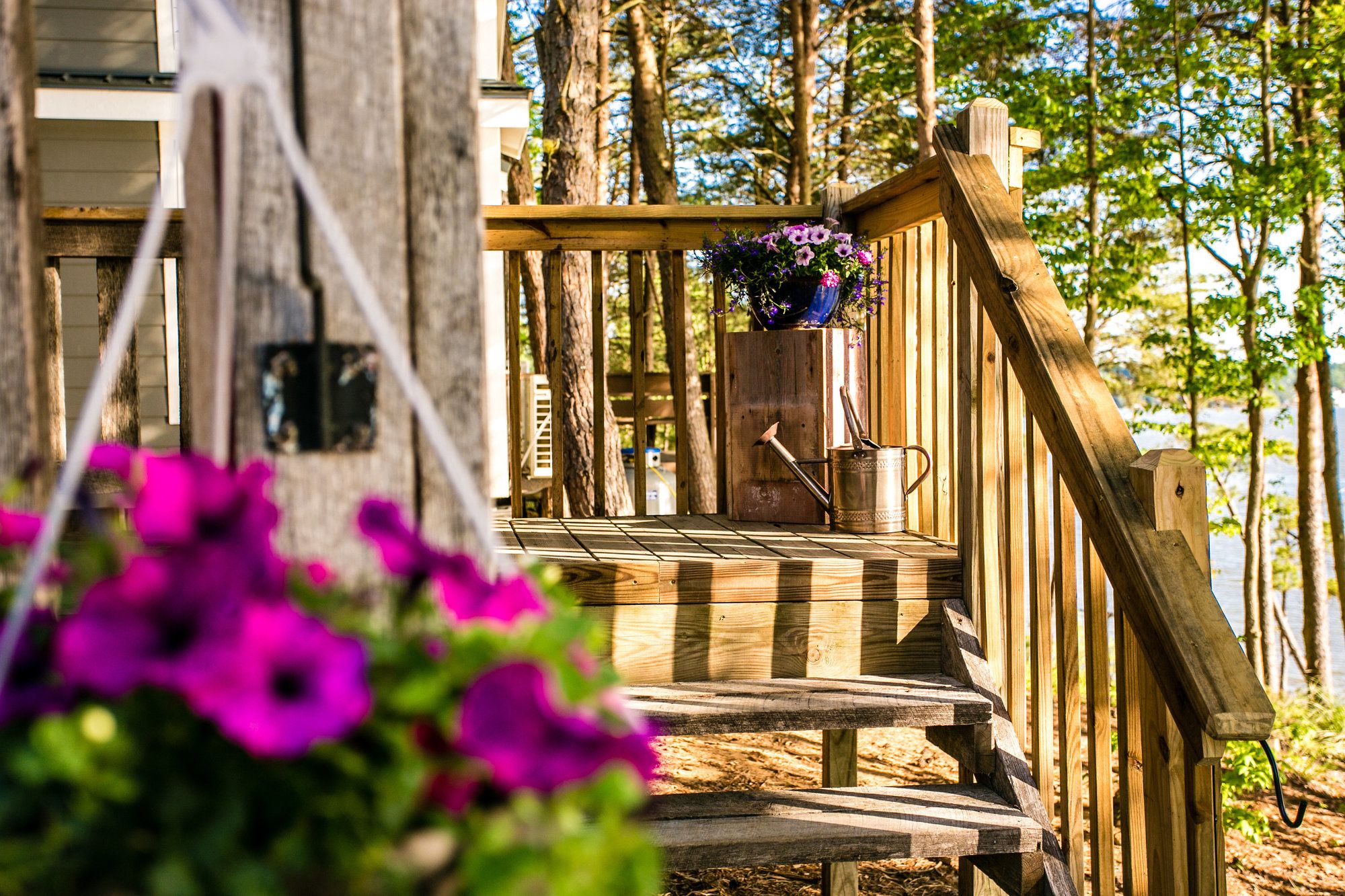 The Cove Cabins