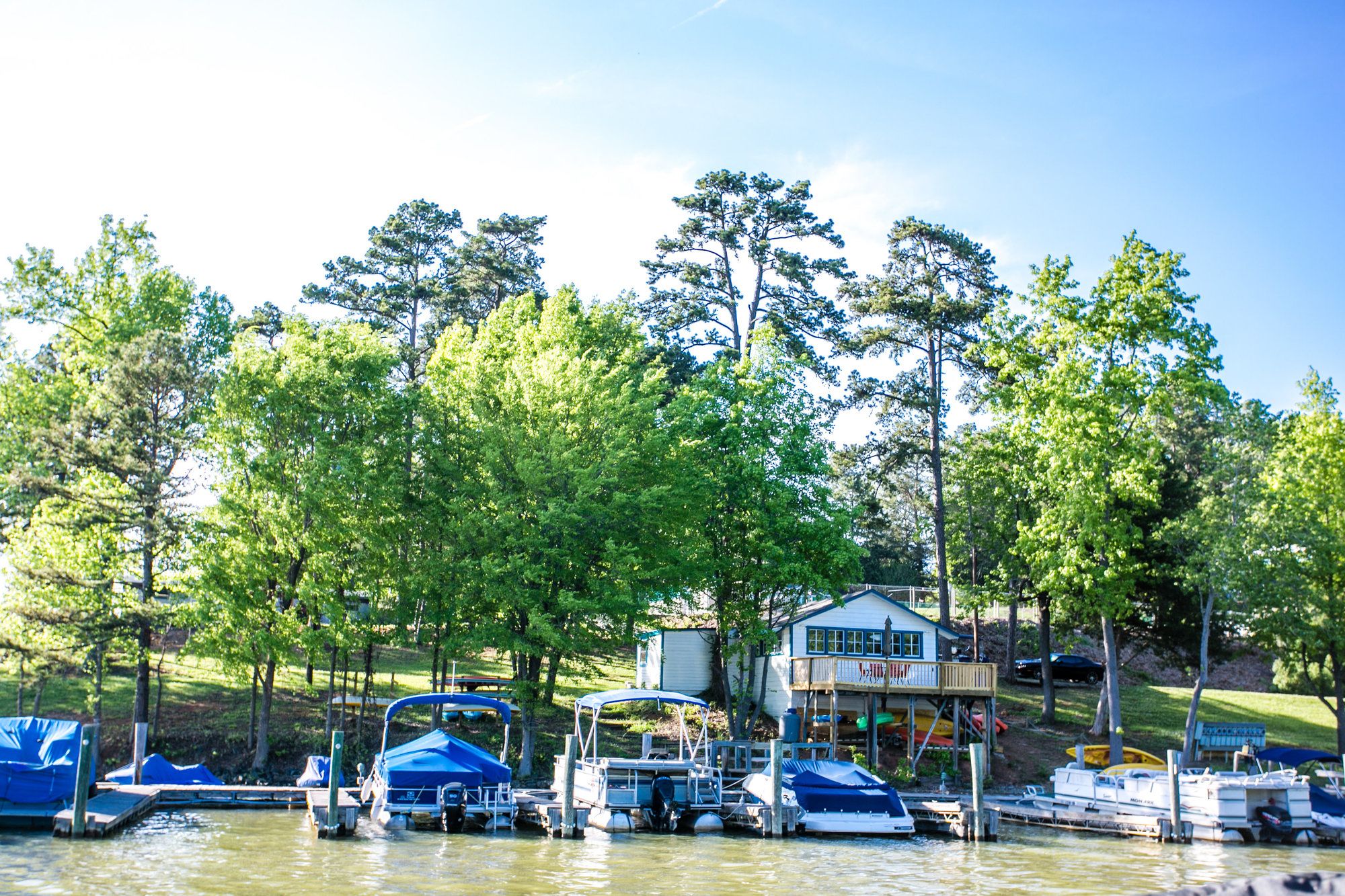 The Cove Cabins
