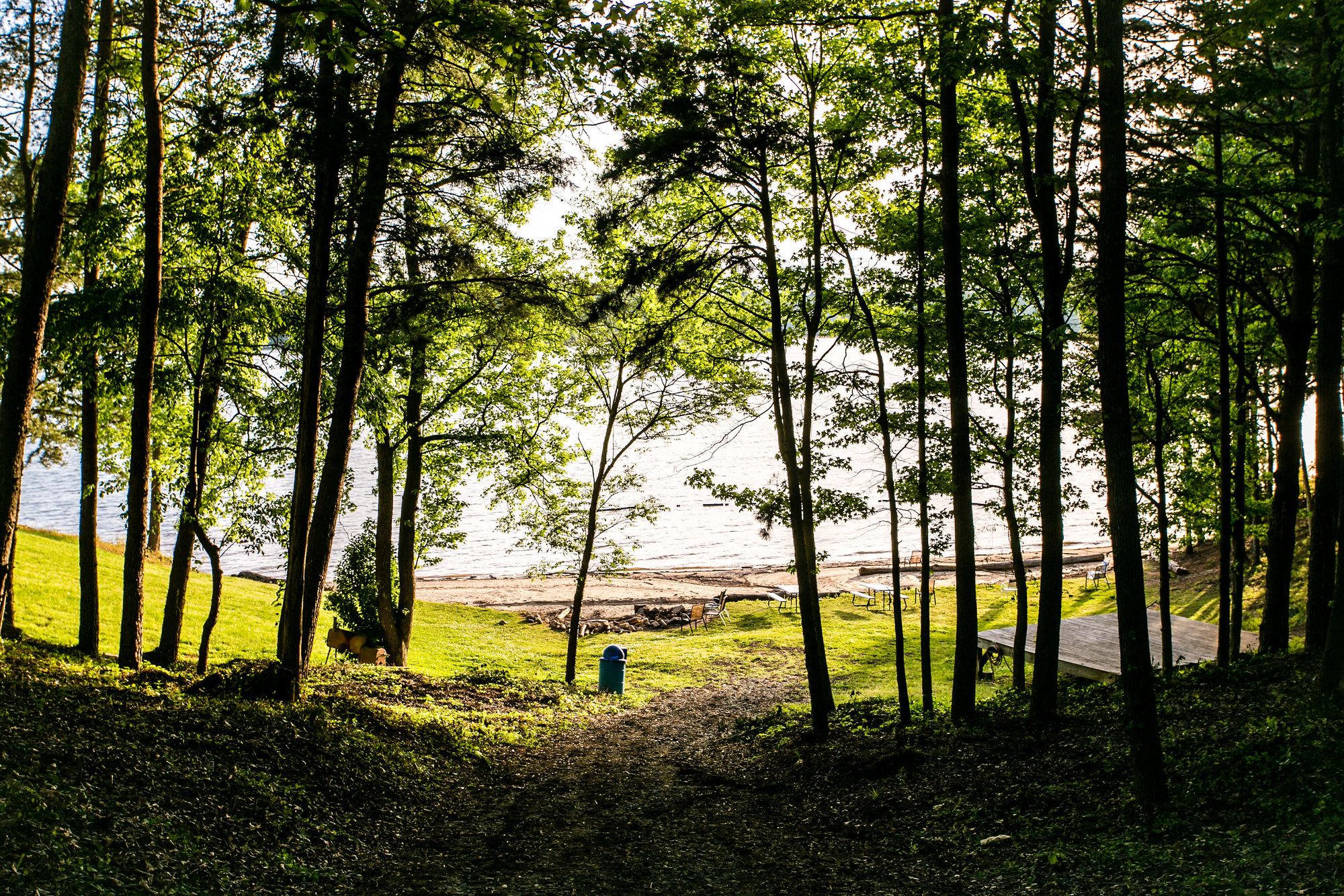The Cove Cabins